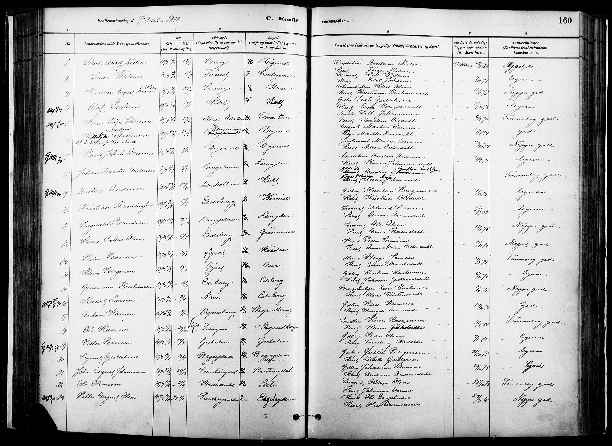 Vinger prestekontor, SAH/PREST-024/H/Ha/Haa/L0014: Parish register (official) no. 14, 1881-1900, p. 160