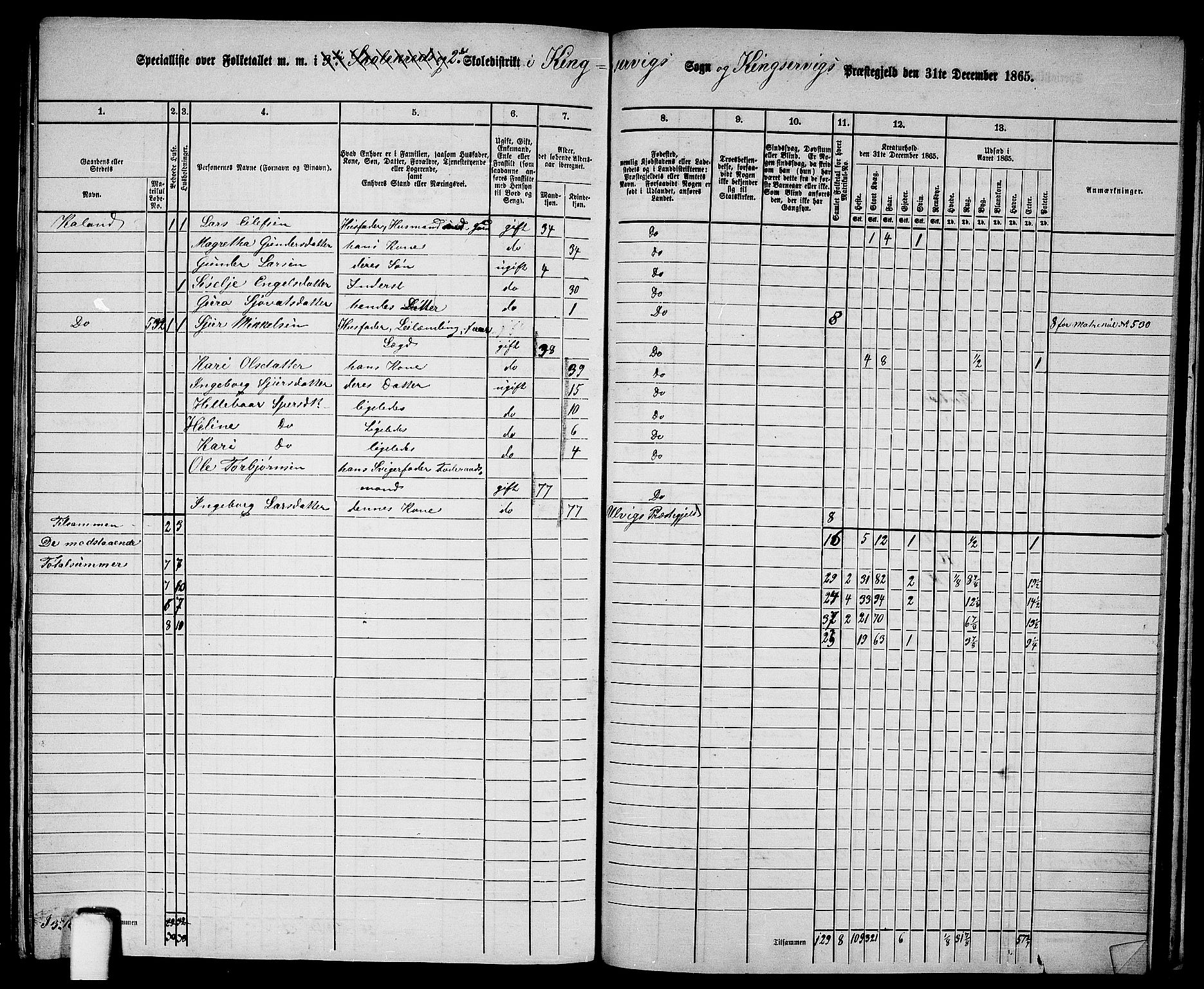 RA, 1865 census for Kinsarvik, 1865, p. 230