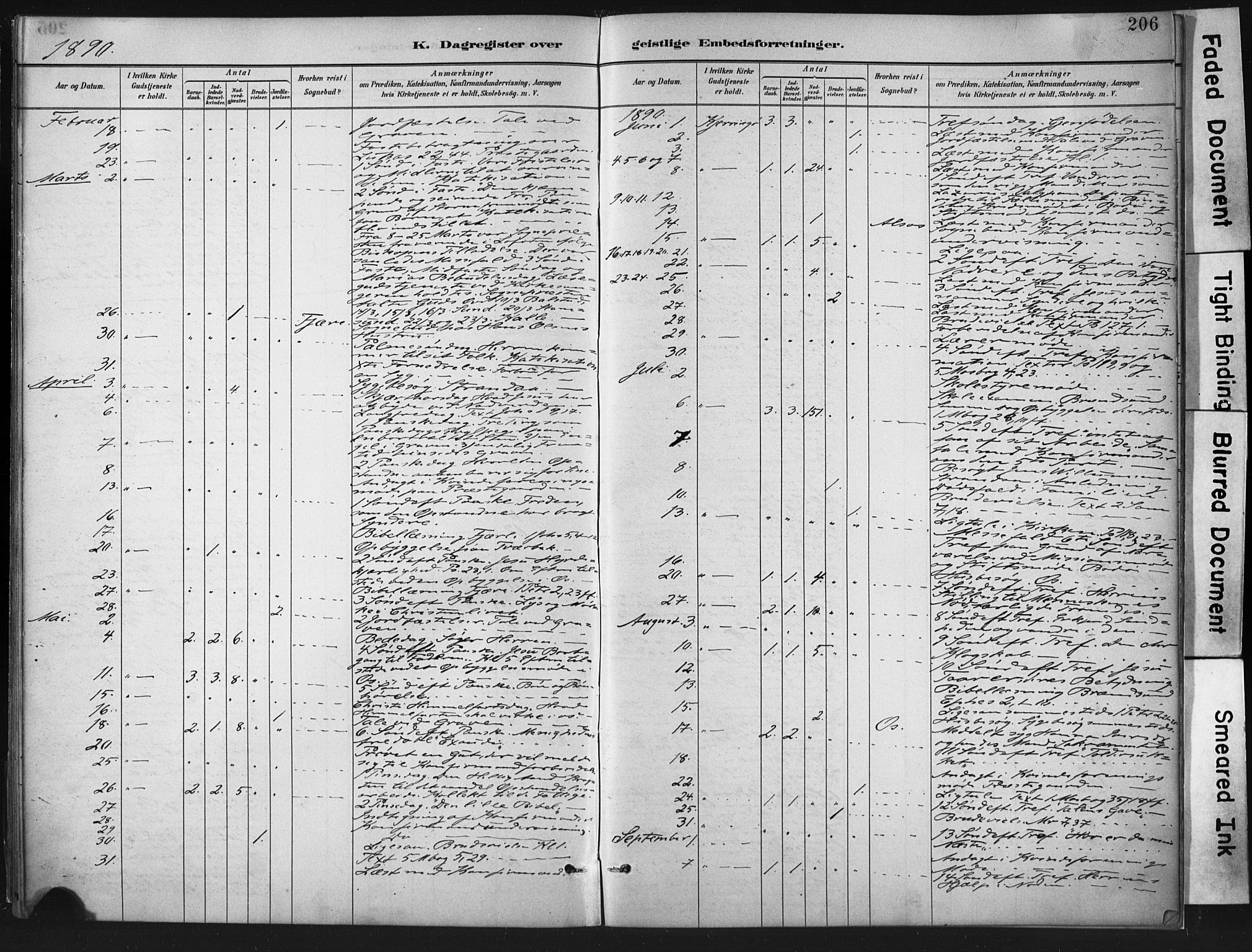 Ministerialprotokoller, klokkerbøker og fødselsregistre - Nordland, SAT/A-1459/803/L0071: Parish register (official) no. 803A01, 1881-1897, p. 206