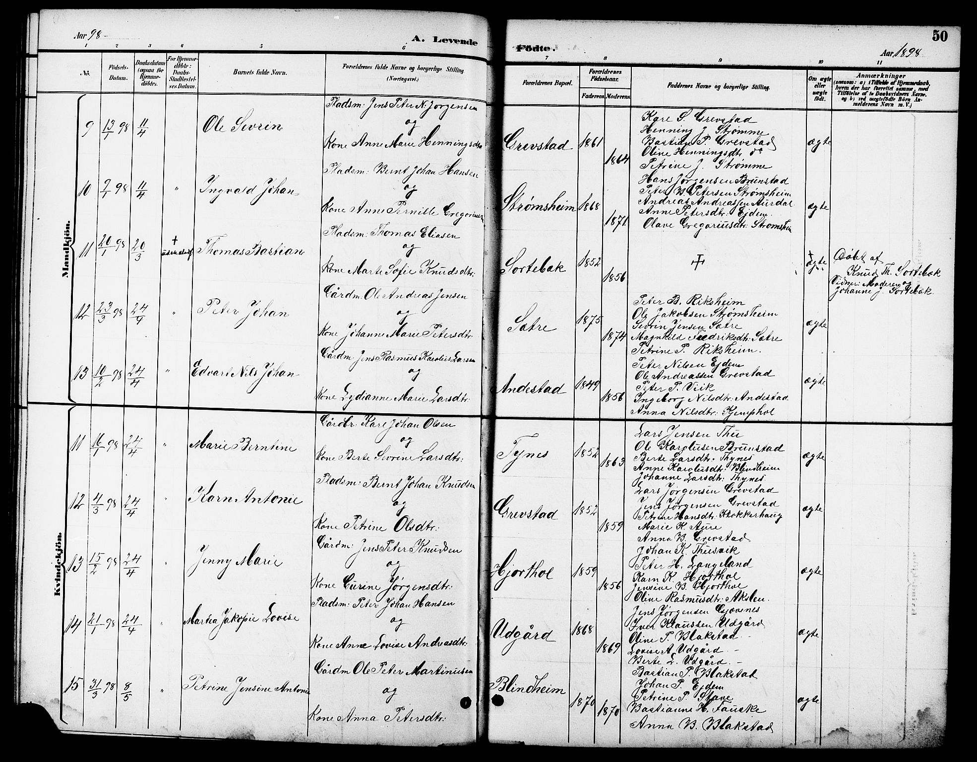 Ministerialprotokoller, klokkerbøker og fødselsregistre - Møre og Romsdal, AV/SAT-A-1454/523/L0340: Parish register (copy) no. 523C03, 1892-1902, p. 50