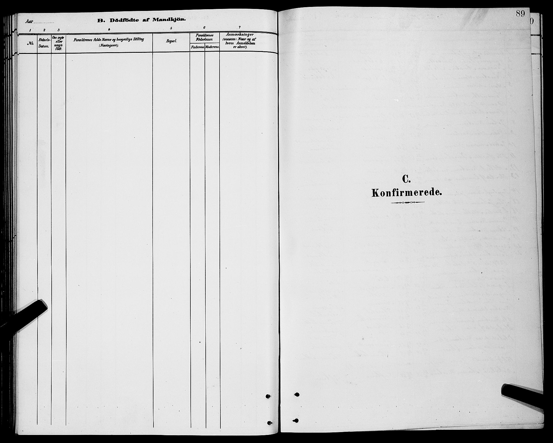 Lenvik sokneprestembete, SATØ/S-1310/H/Ha/Hab/L0021klokker: Parish register (copy) no. 21, 1884-1900, p. 89