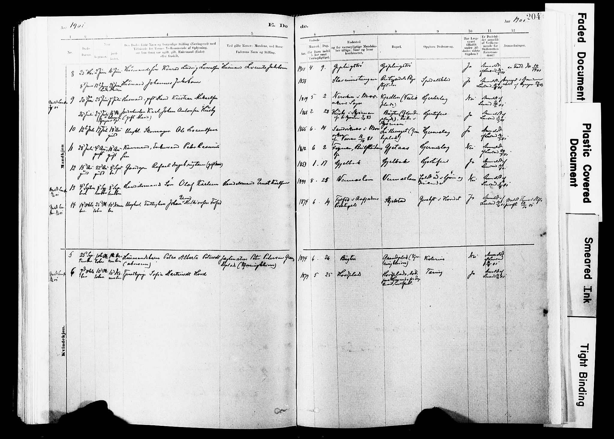 Ministerialprotokoller, klokkerbøker og fødselsregistre - Nord-Trøndelag, SAT/A-1458/744/L0420: Parish register (official) no. 744A04, 1882-1904, p. 204