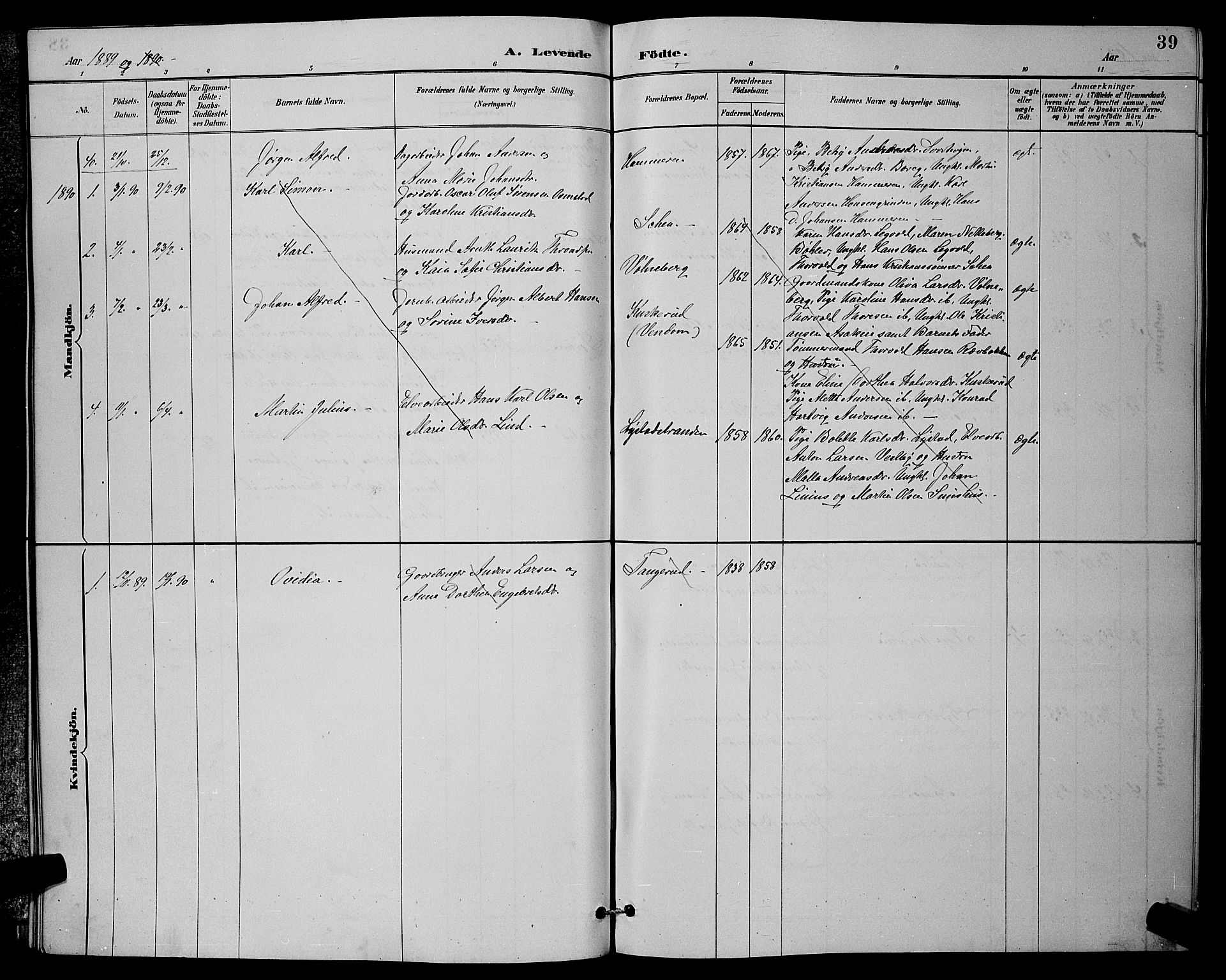 Sørum prestekontor Kirkebøker, SAO/A-10303/G/Ga/L0005: Parish register (copy) no. I 5.1, 1886-1894, p. 39