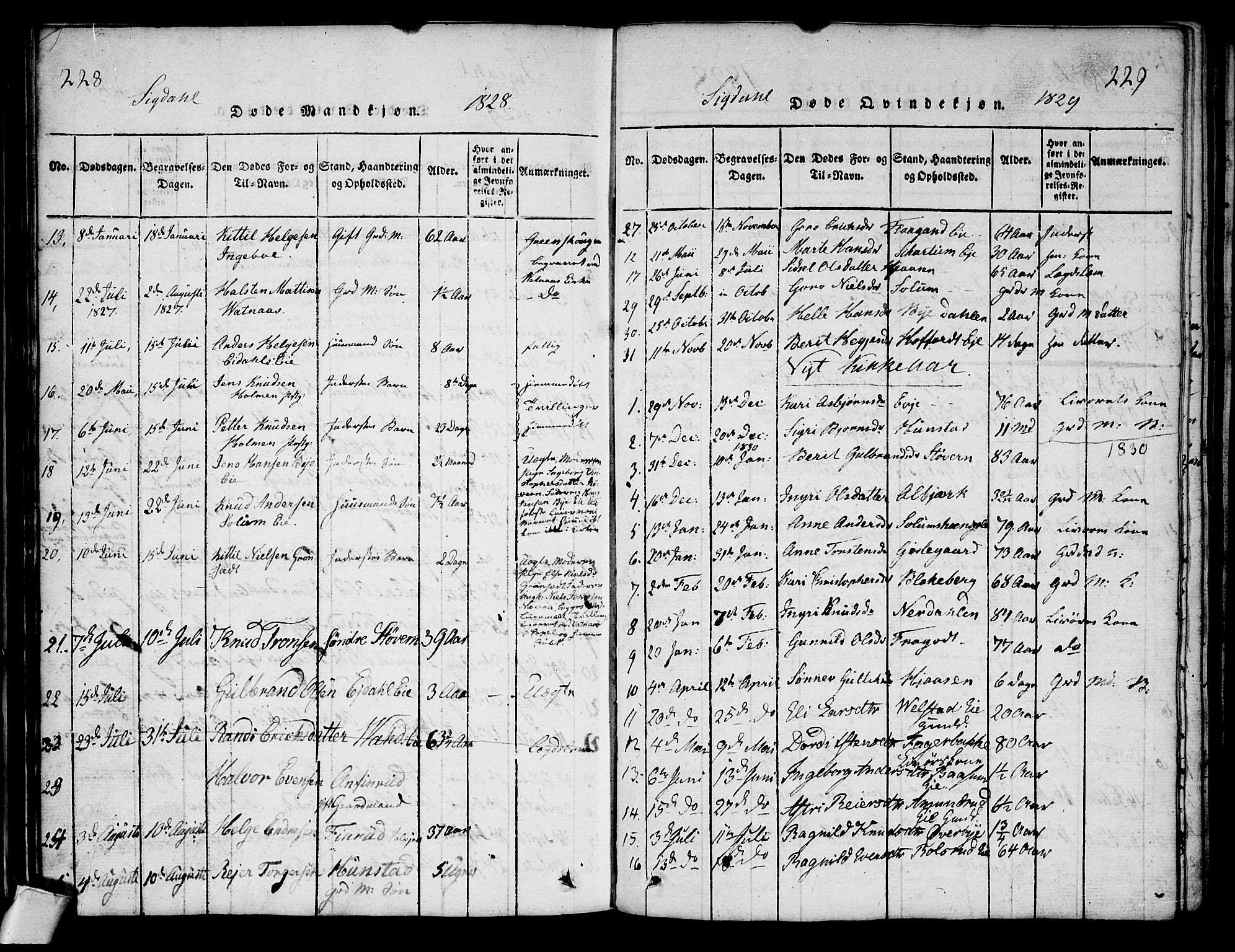 Sigdal kirkebøker, AV/SAKO-A-245/G/Ga/L0001: Parish register (copy) no. I 1 /1, 1816-1835, p. 228-229