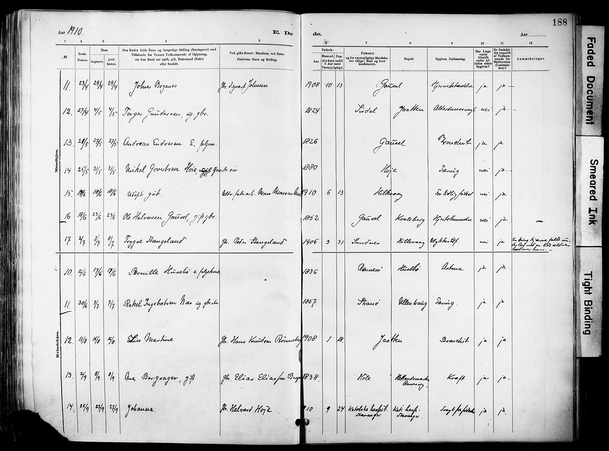 Hetland sokneprestkontor, SAST/A-101826/30/30BA/L0012: Parish register (official) no. A 12, 1882-1912, p. 188