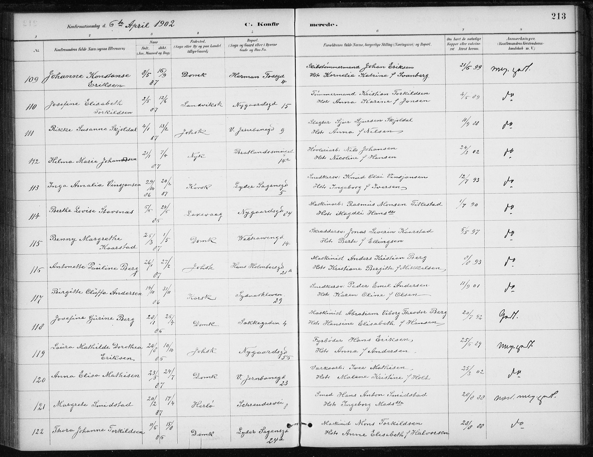 Johanneskirken sokneprestembete, AV/SAB-A-76001/H/Haa/L0008: Parish register (official) no. C 1, 1885-1907, p. 213