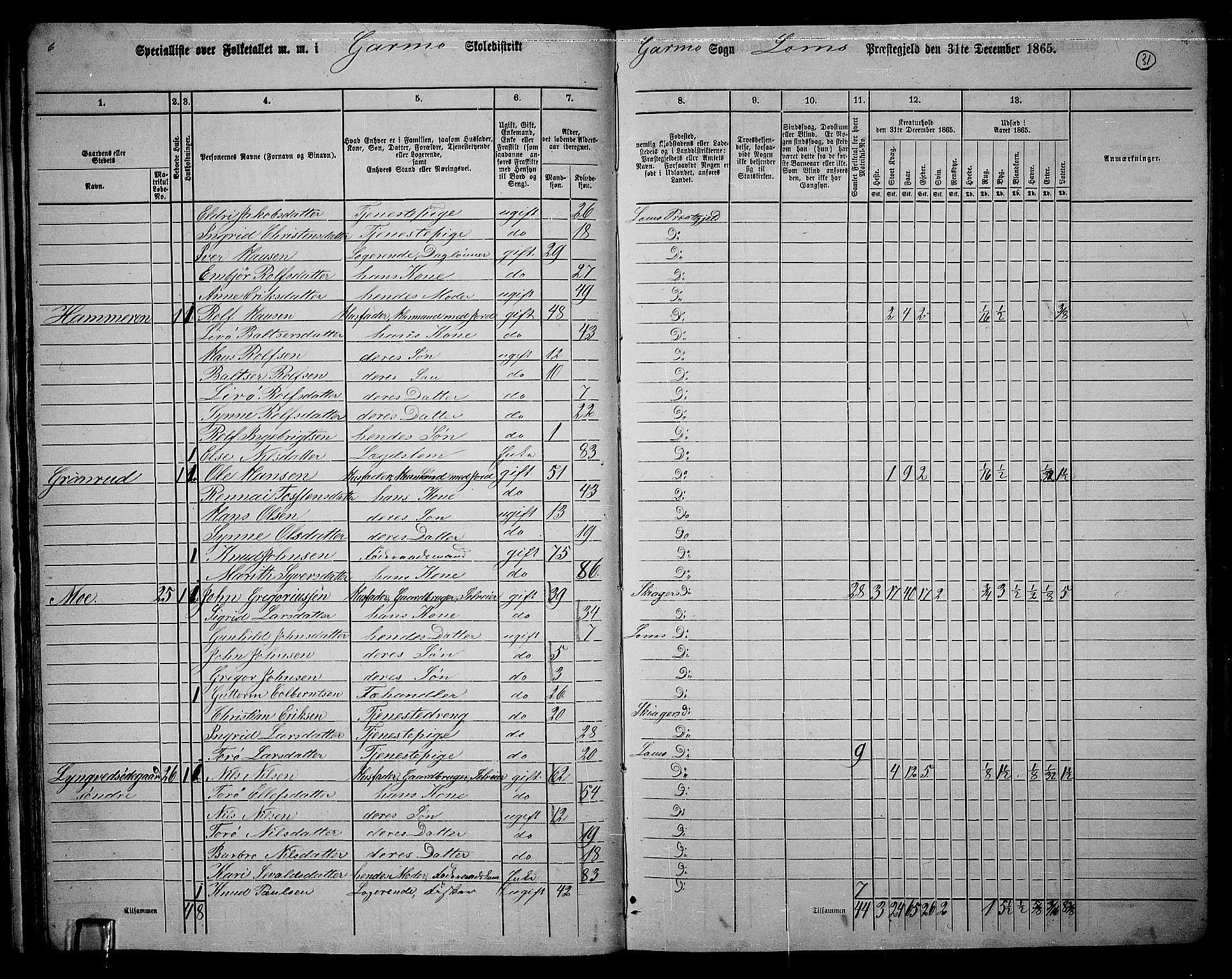 RA, 1865 census for Lom, 1865, p. 29