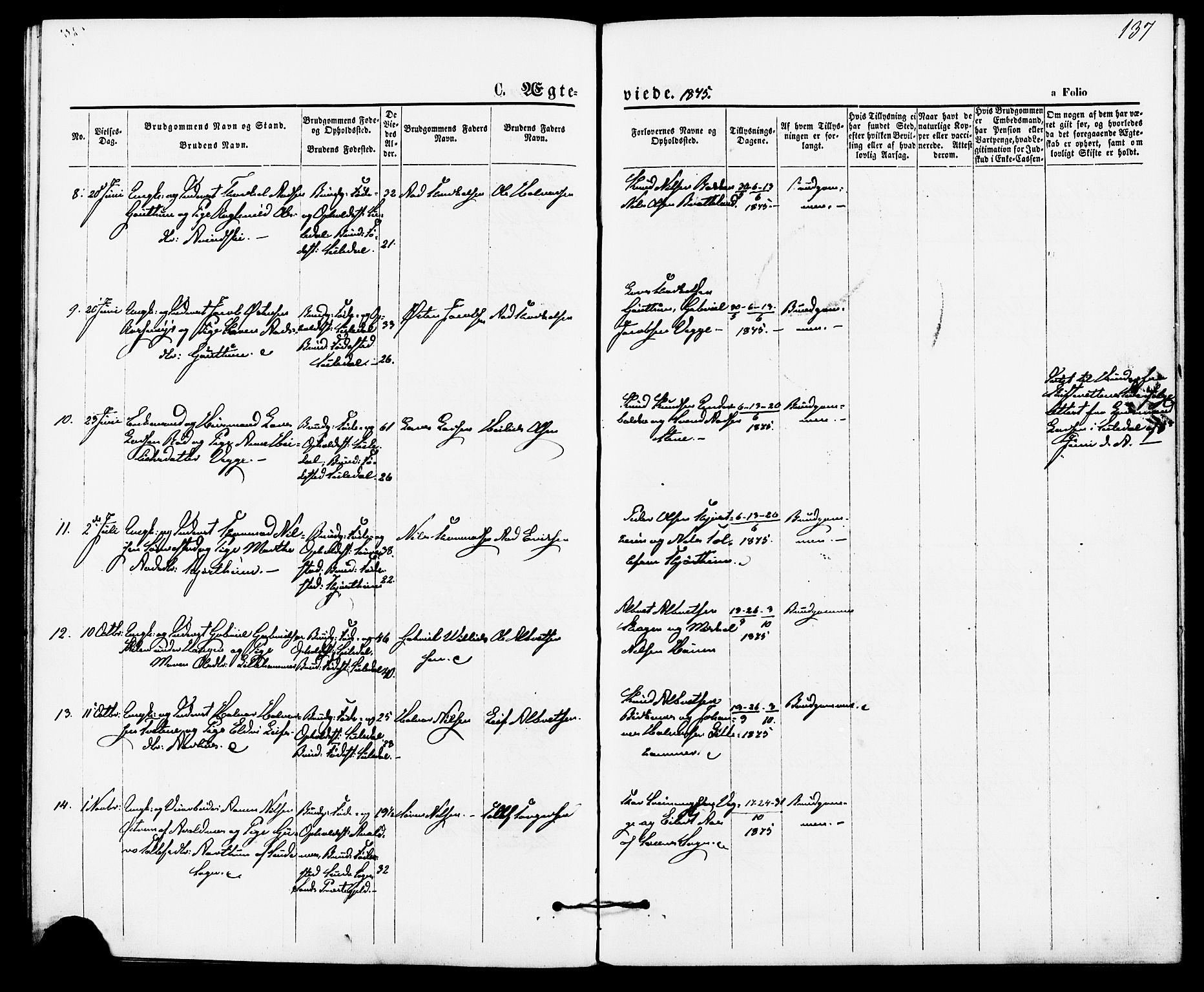 Suldal sokneprestkontor, AV/SAST-A-101845/01/IV/L0010: Parish register (official) no. A 10, 1869-1878, p. 137