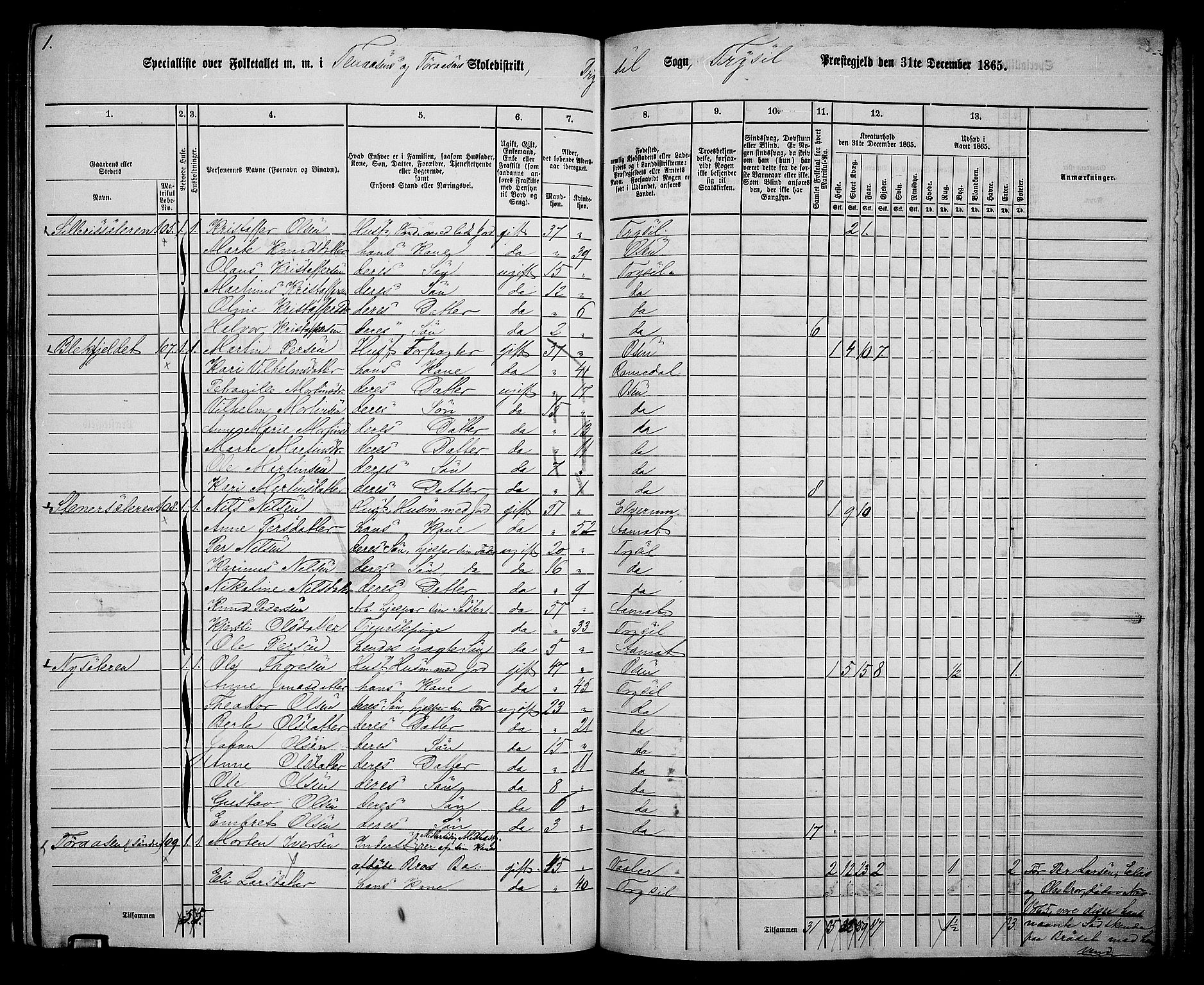 RA, 1865 census for Trysil, 1865, p. 147