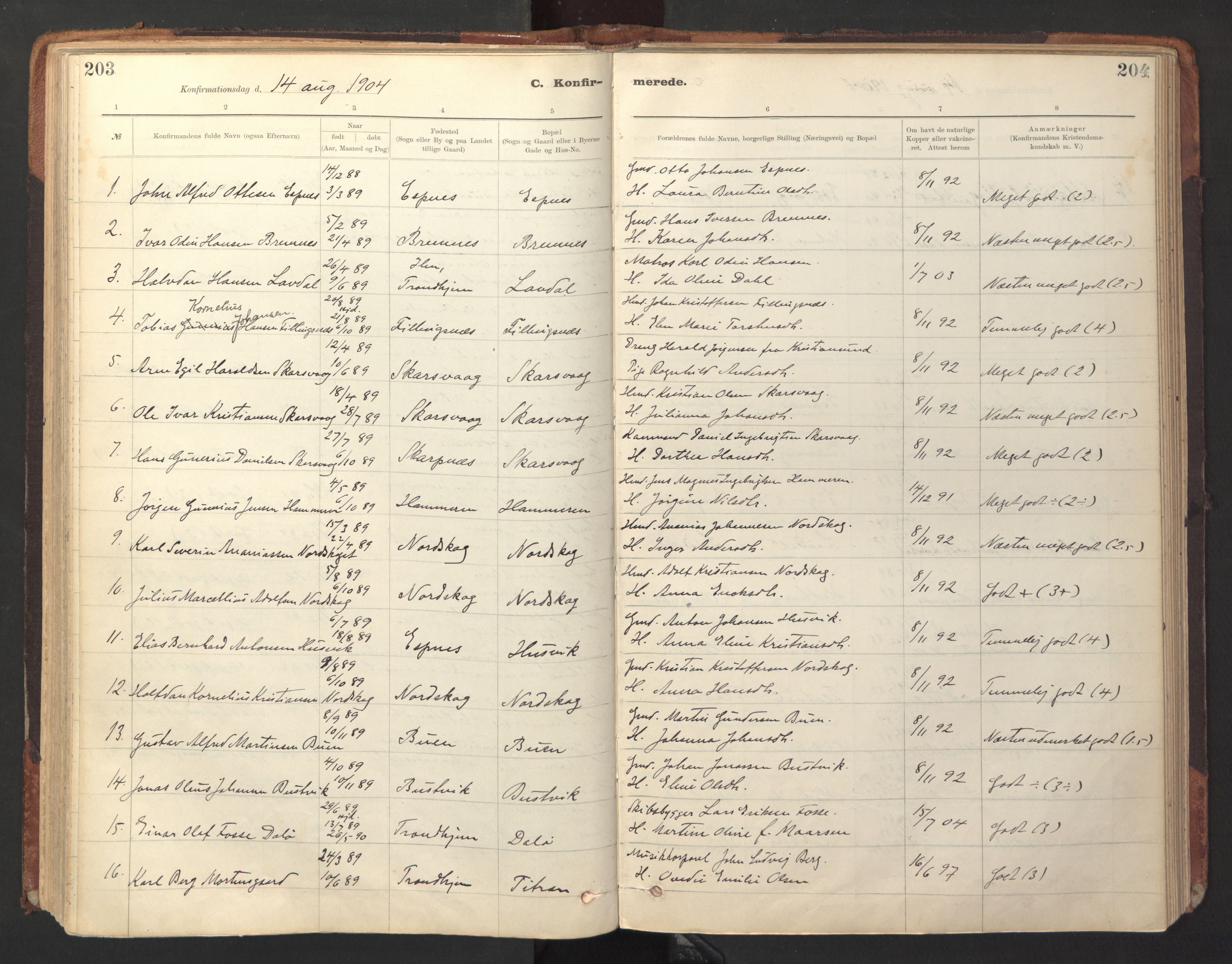 Ministerialprotokoller, klokkerbøker og fødselsregistre - Sør-Trøndelag, SAT/A-1456/641/L0596: Parish register (official) no. 641A02, 1898-1915, p. 203-204