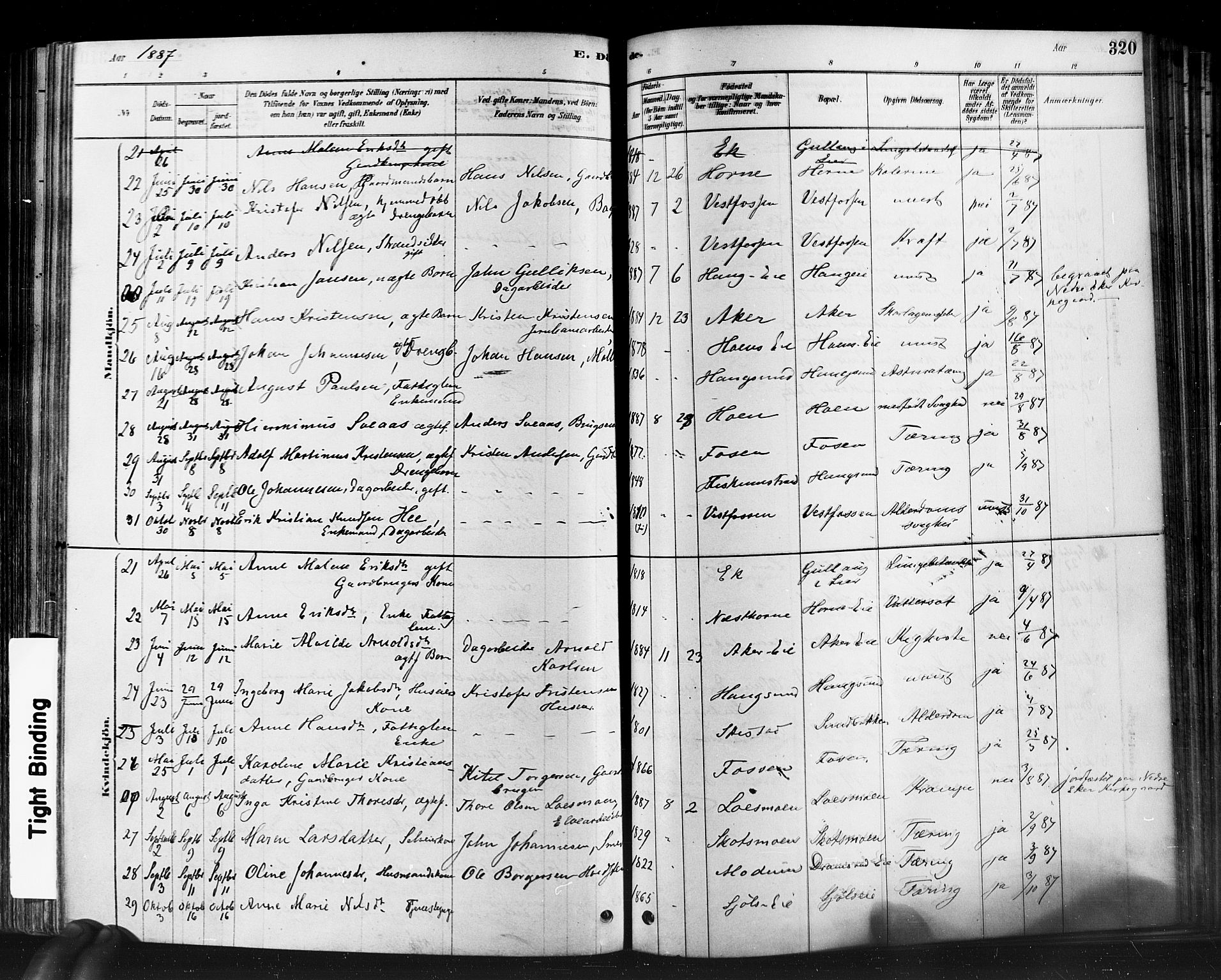 Eiker kirkebøker, AV/SAKO-A-4/F/Fb/L0001: Parish register (official) no. II 1, 1878-1888, p. 320