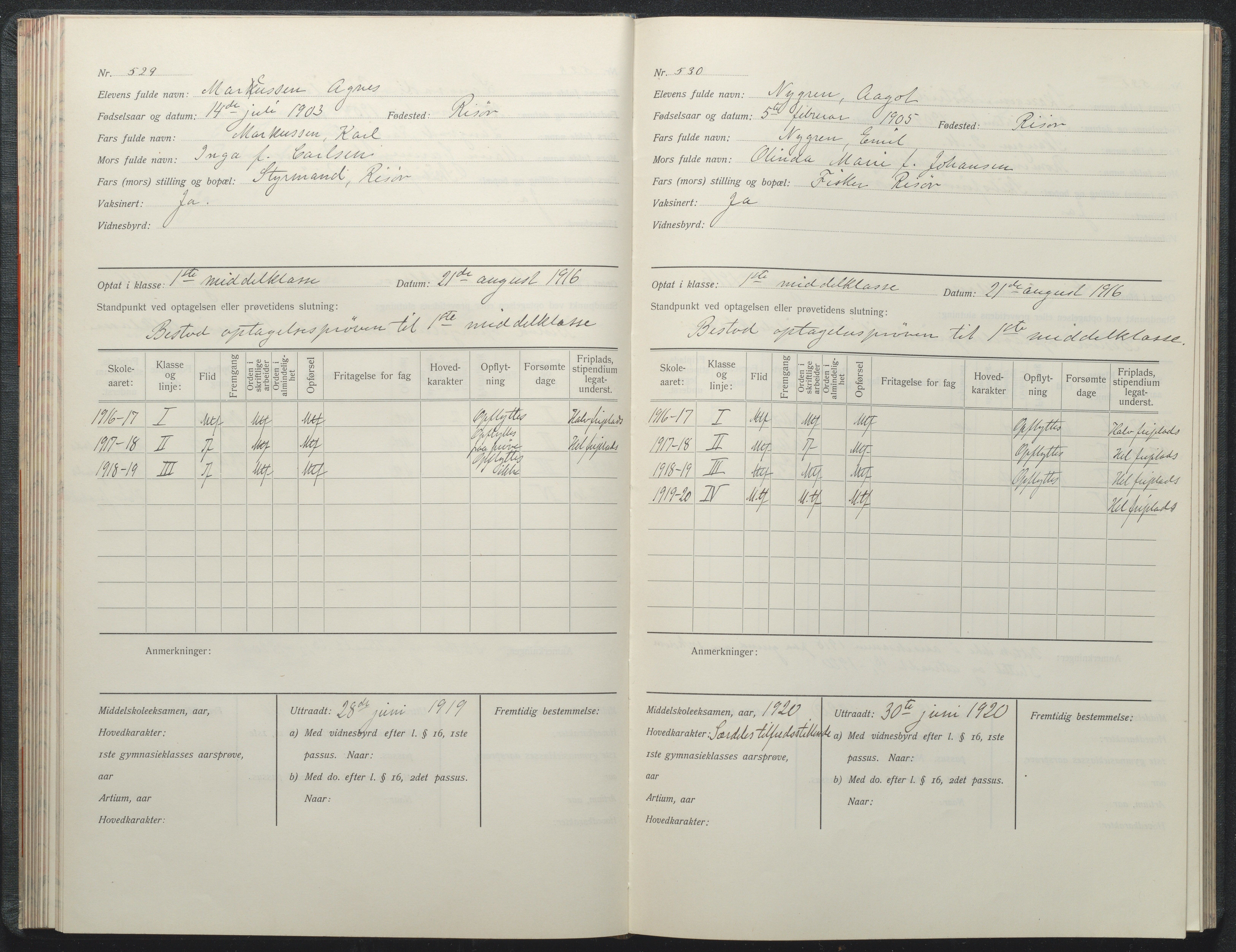 Risør kommune, AAKS/KA0901-PK/1/05/05i/L0002: Manntallsprotokoll, 1911-1925, p. 529-530