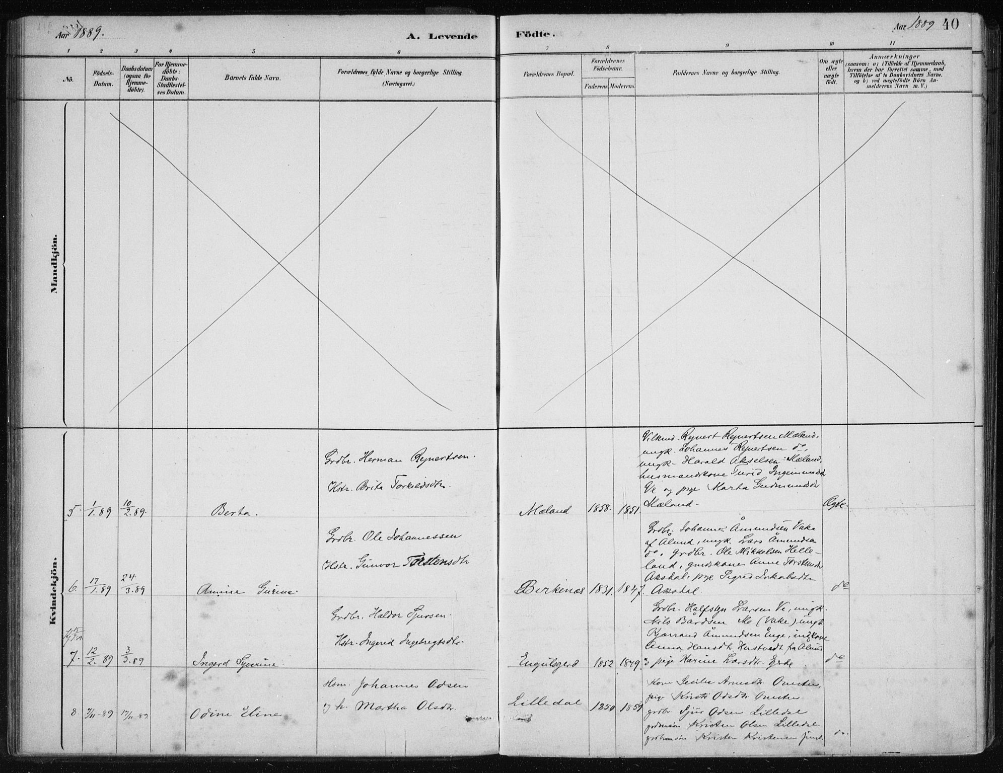 Etne sokneprestembete, AV/SAB-A-75001/H/Haa: Parish register (official) no. C  1, 1879-1919, p. 40