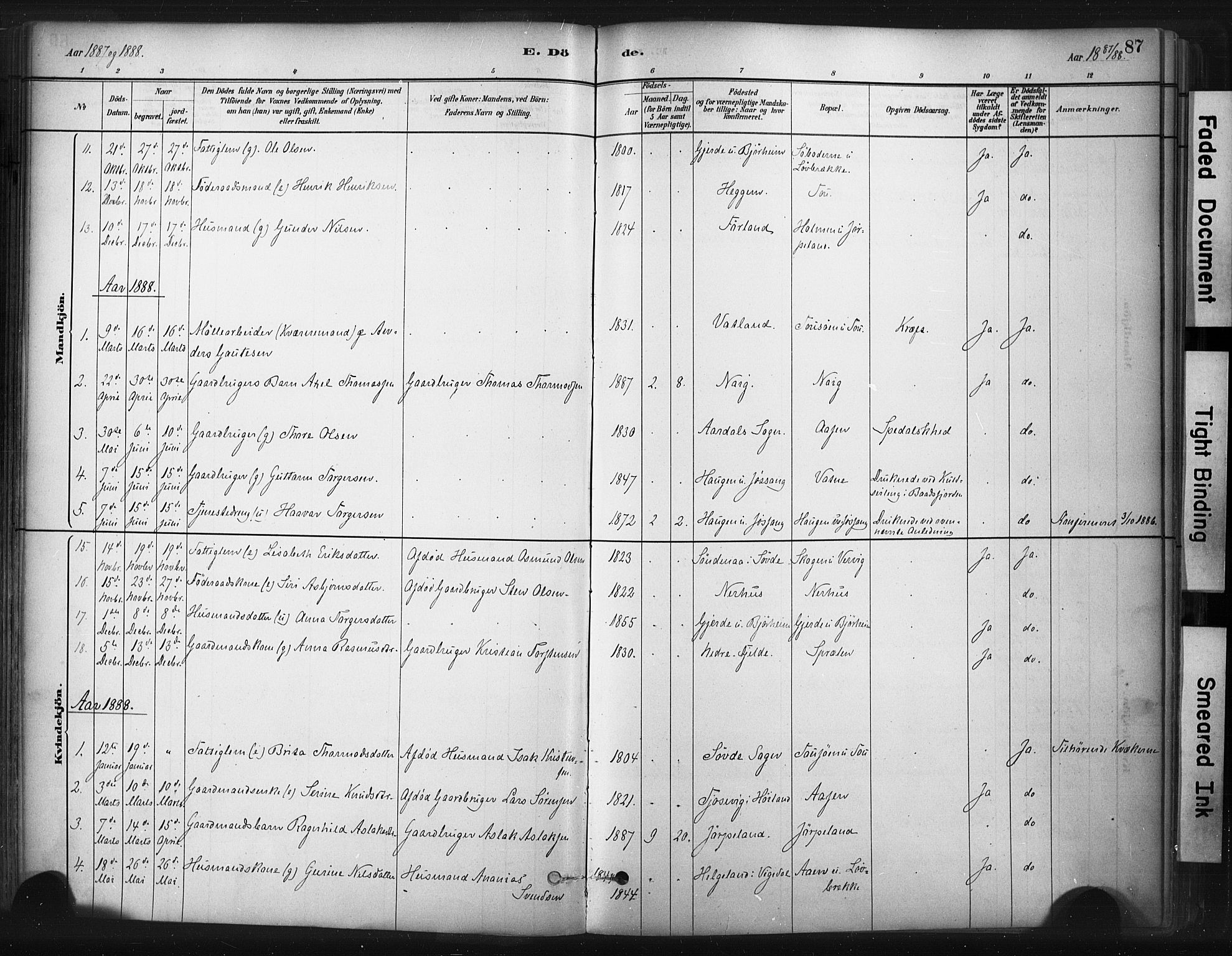 Strand sokneprestkontor, AV/SAST-A-101828/H/Ha/Haa/L0010: Parish register (official) no. A 10, 1882-1929, p. 87