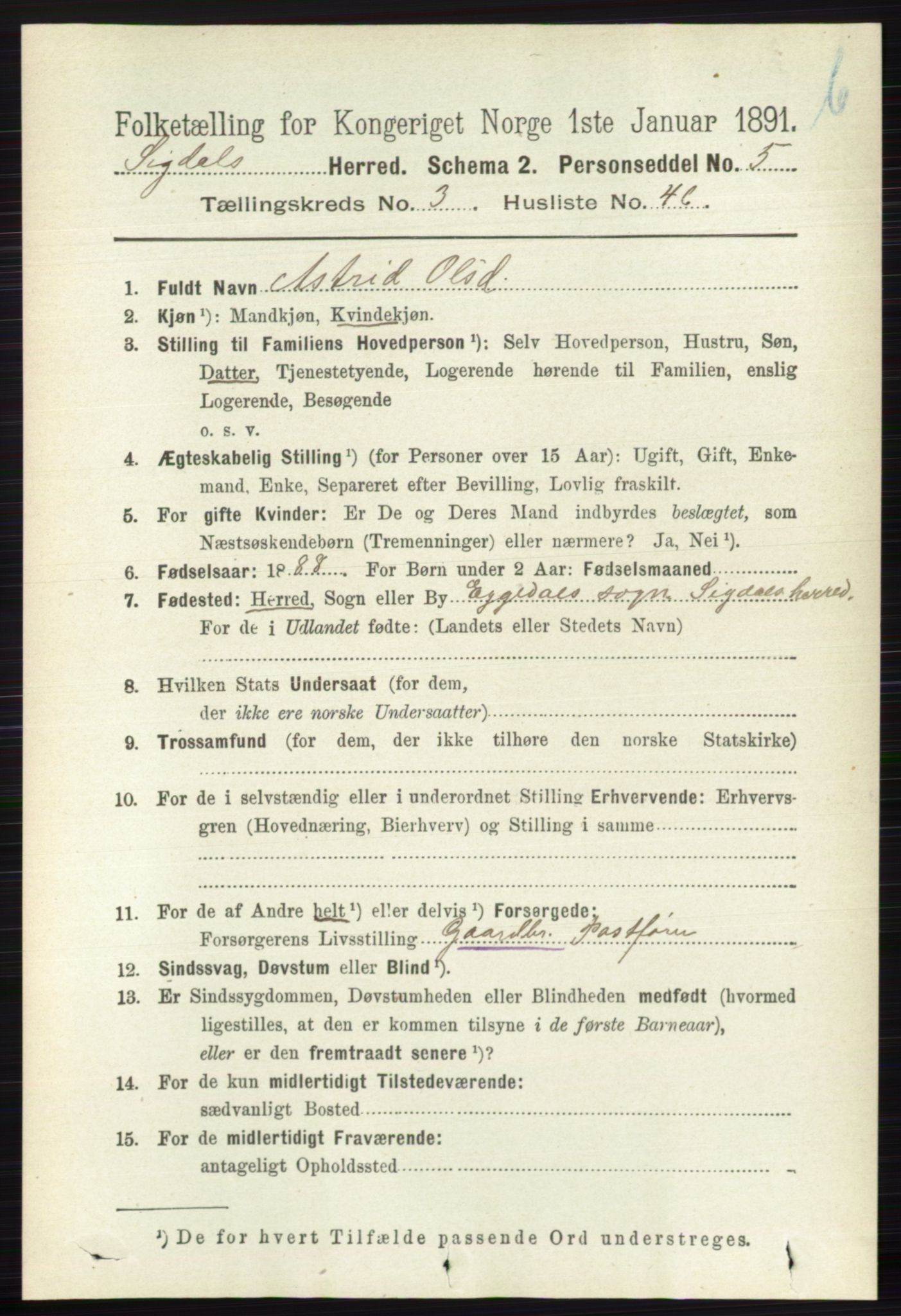 RA, 1891 census for 0621 Sigdal, 1891, p. 4562