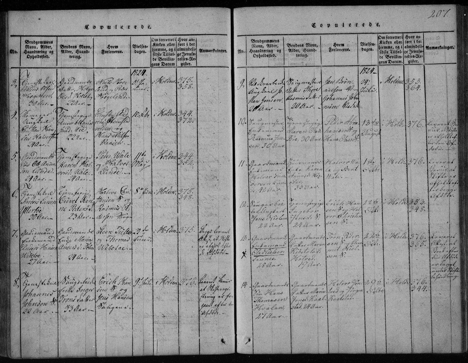 Holla kirkebøker, AV/SAKO-A-272/F/Fa/L0003: Parish register (official) no. 3, 1815-1830, p. 207