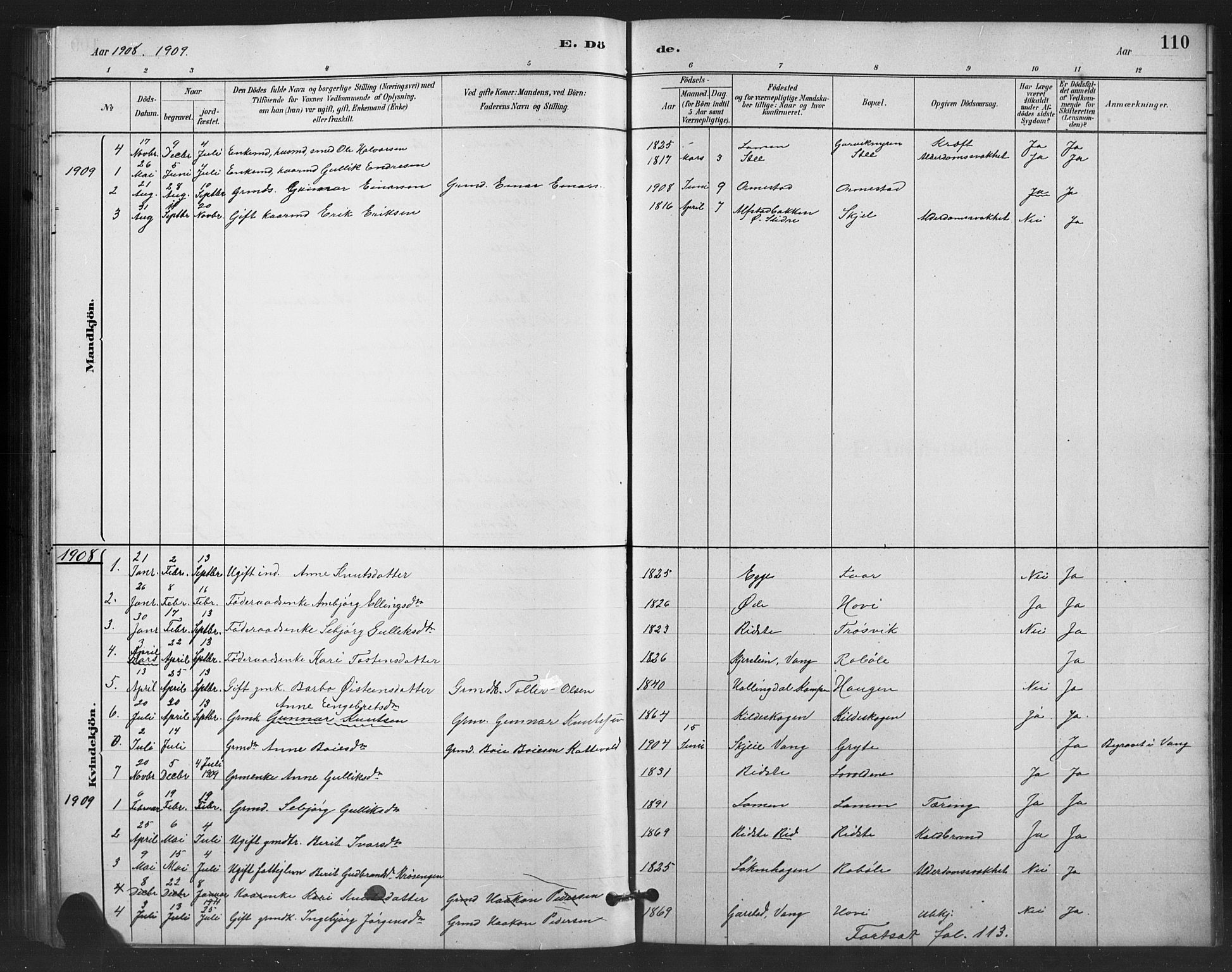 Vestre Slidre prestekontor, SAH/PREST-136/H/Ha/Hab/L0006: Parish register (copy) no. 6, 1881-1915, p. 110