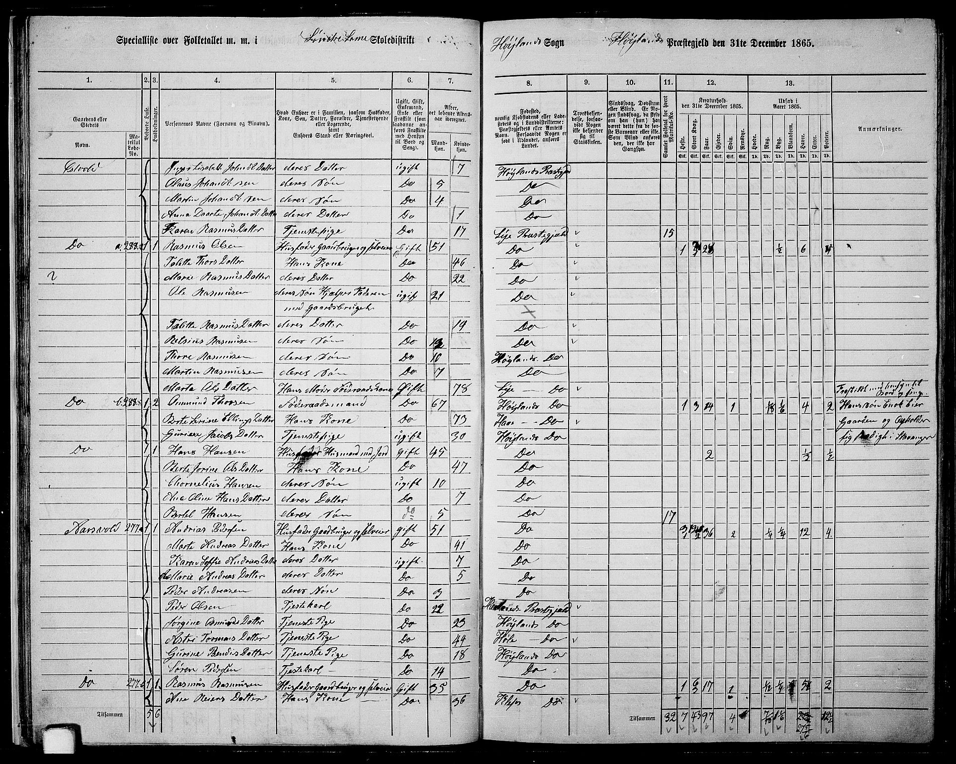 RA, 1865 census for Høyland, 1865, p. 27