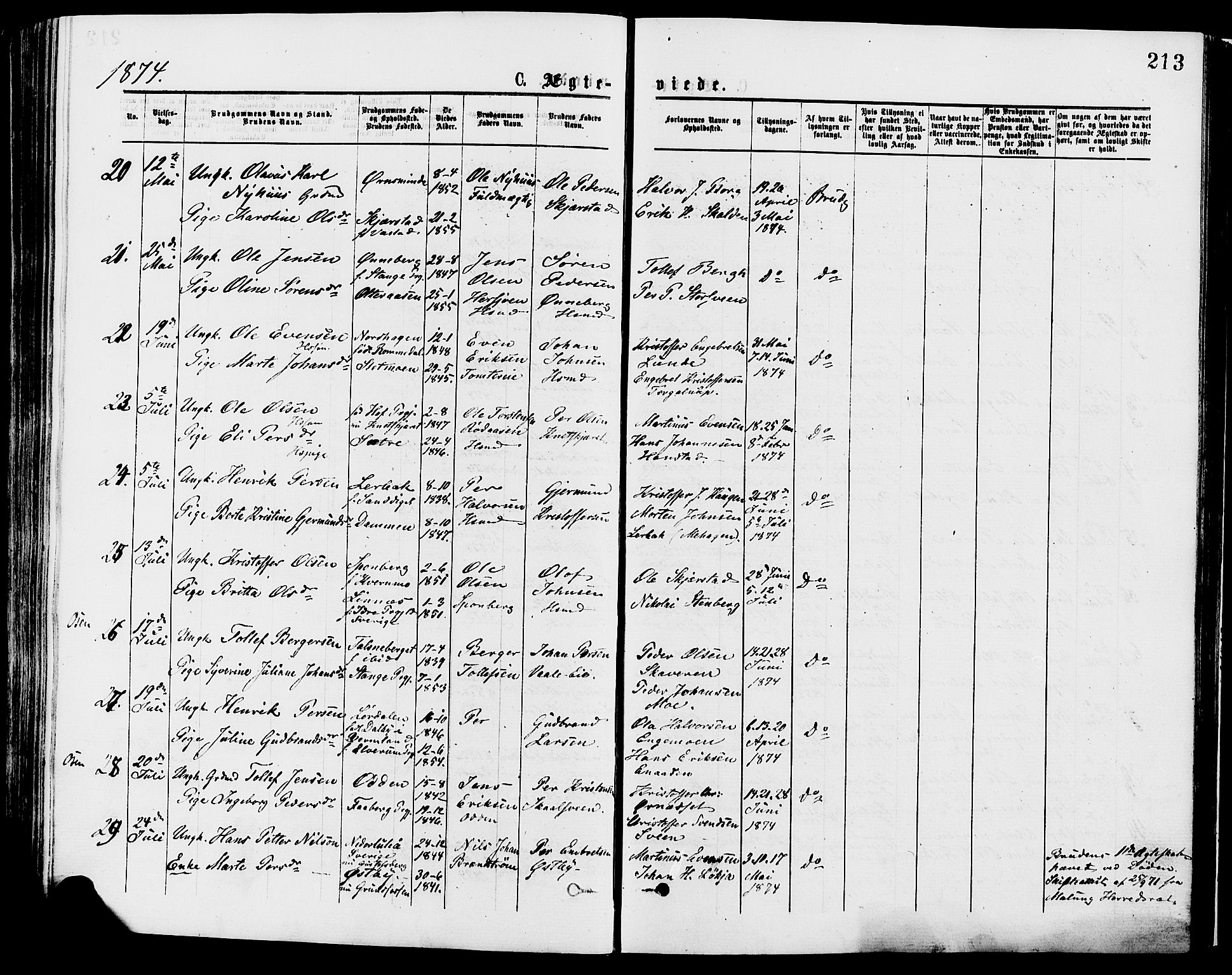 Trysil prestekontor, SAH/PREST-046/H/Ha/Haa/L0007: Parish register (official) no. 7, 1874-1880, p. 213