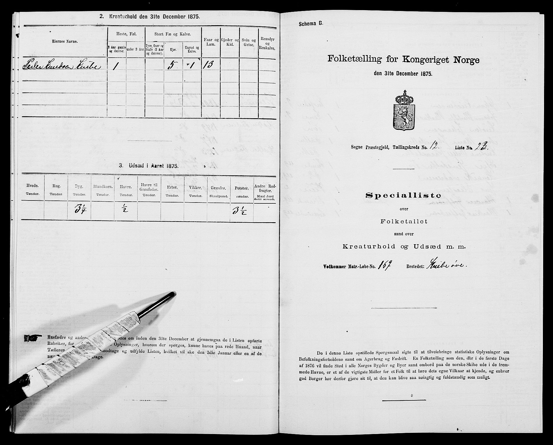 SAK, 1875 census for 1018P Søgne, 1875, p. 908