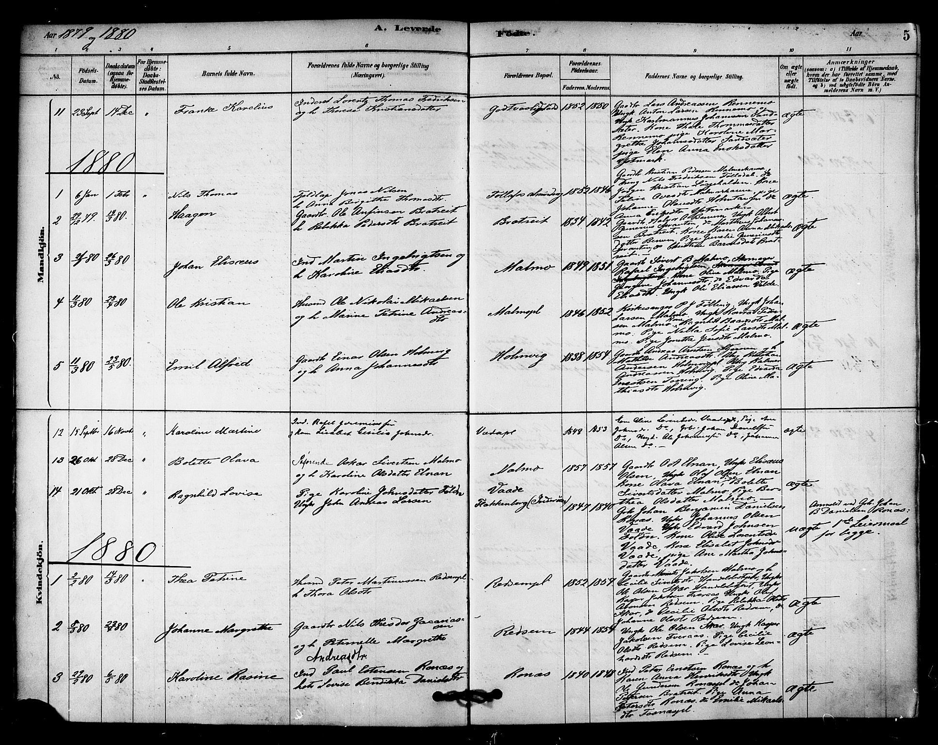 Ministerialprotokoller, klokkerbøker og fødselsregistre - Nord-Trøndelag, SAT/A-1458/745/L0429: Parish register (official) no. 745A01, 1878-1894, p. 5
