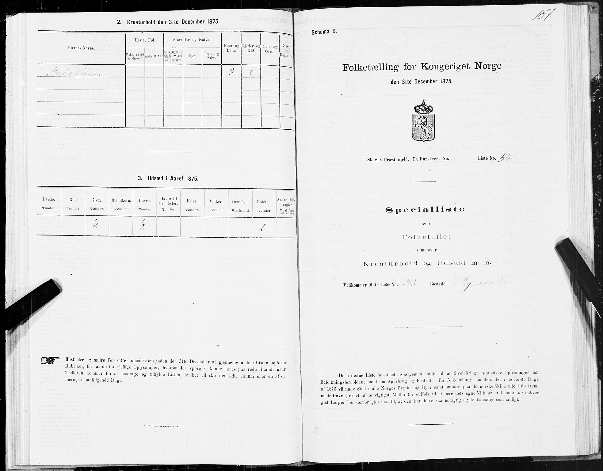 SAT, 1875 census for 1719P Skogn, 1875, p. 6107