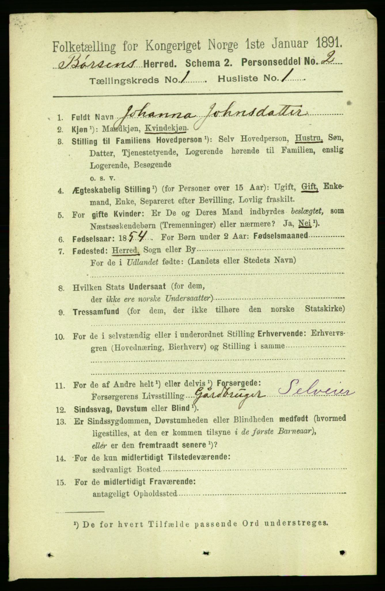 RA, 1891 census for 1658 Børsa, 1891, p. 91