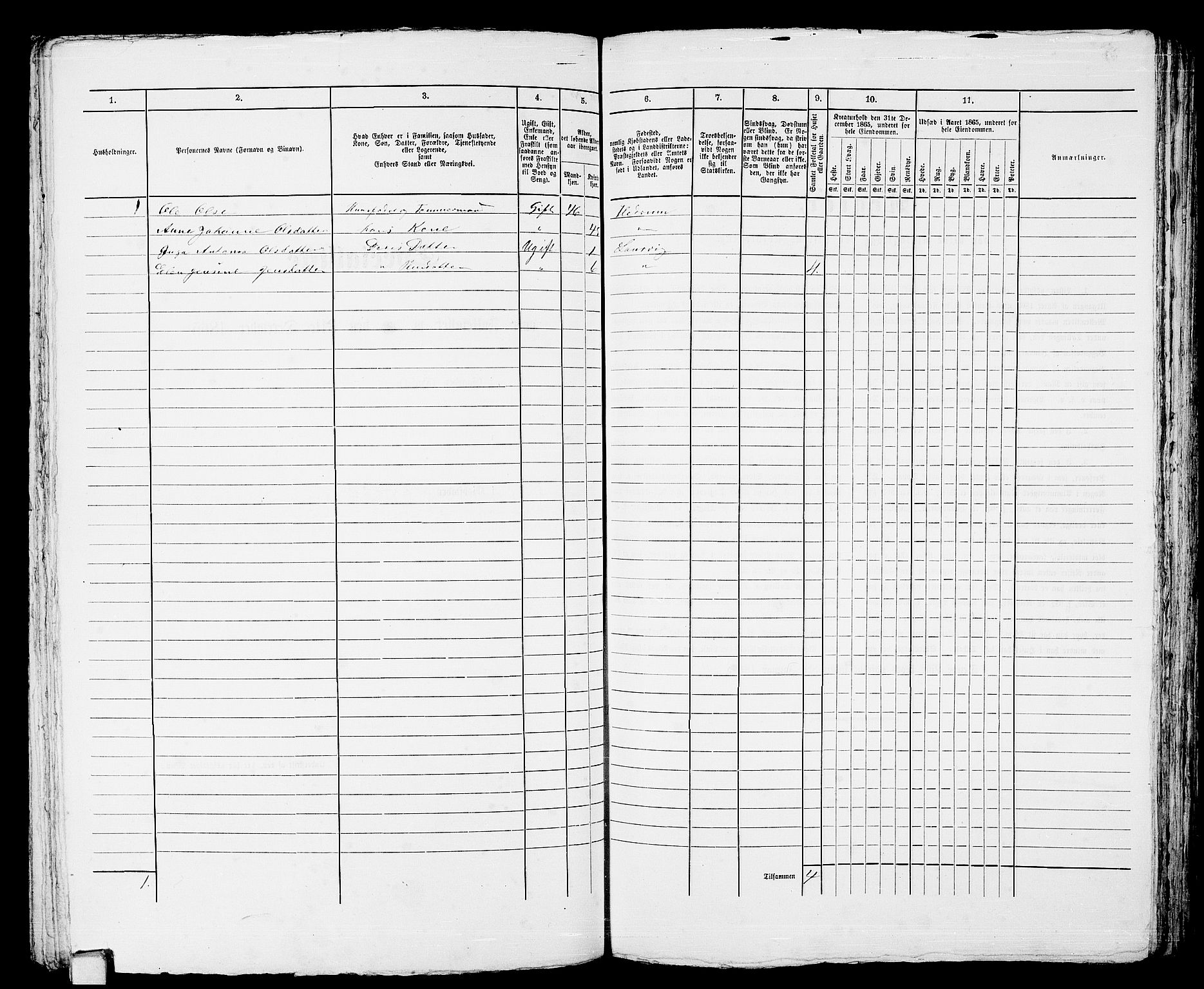 RA, 1865 census for Larvik, 1865, p. 292