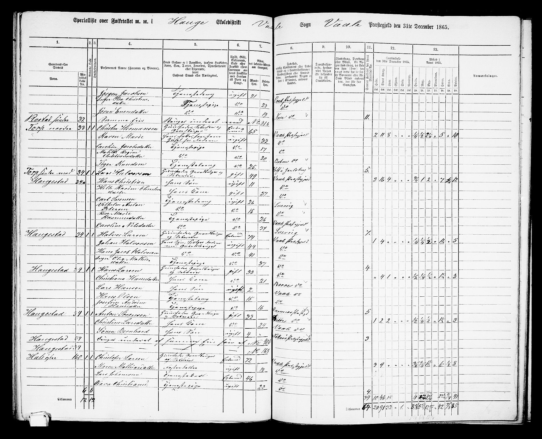 RA, 1865 census for Våle, 1865, p. 60