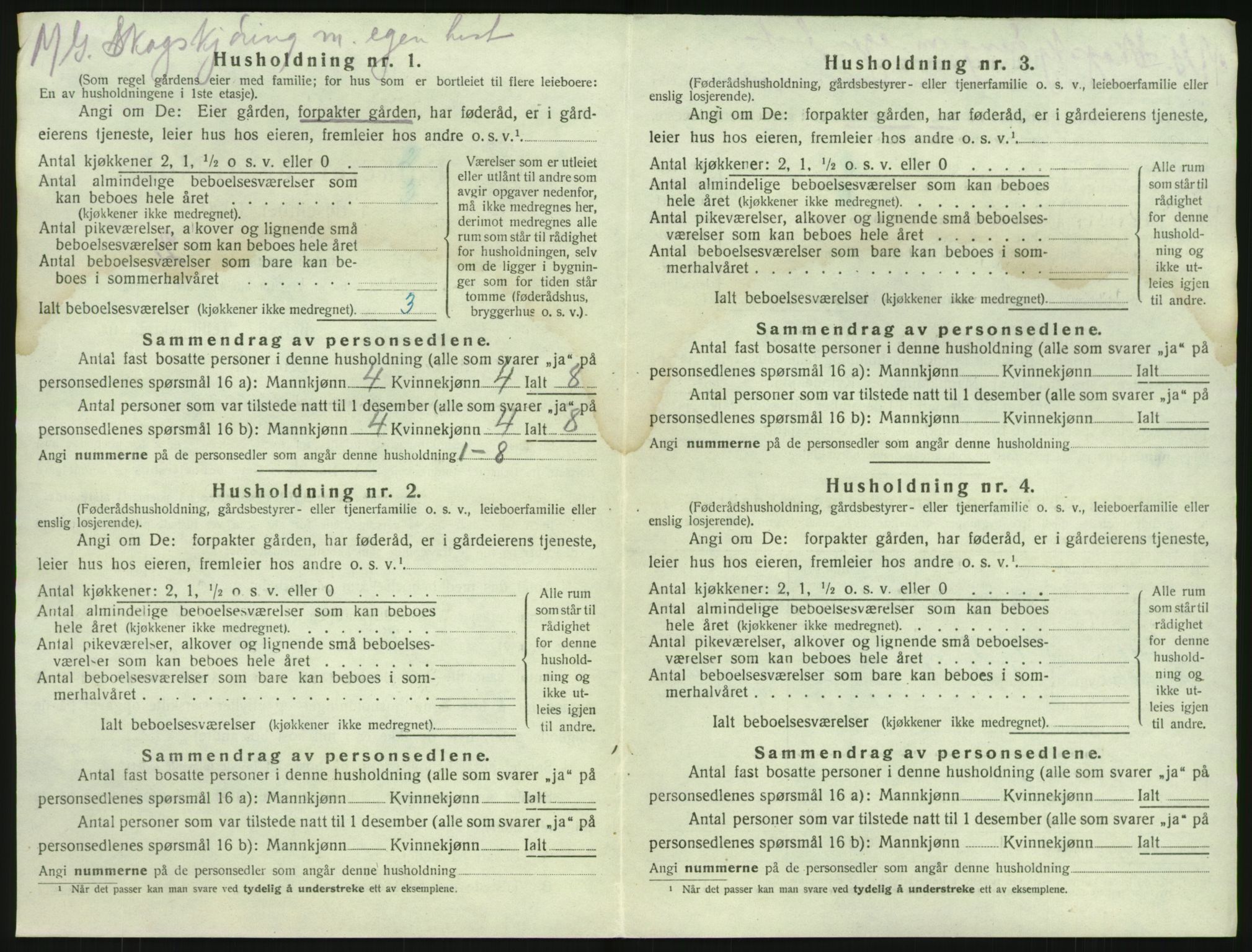 SAKO, 1920 census for Brunlanes, 1920, p. 724