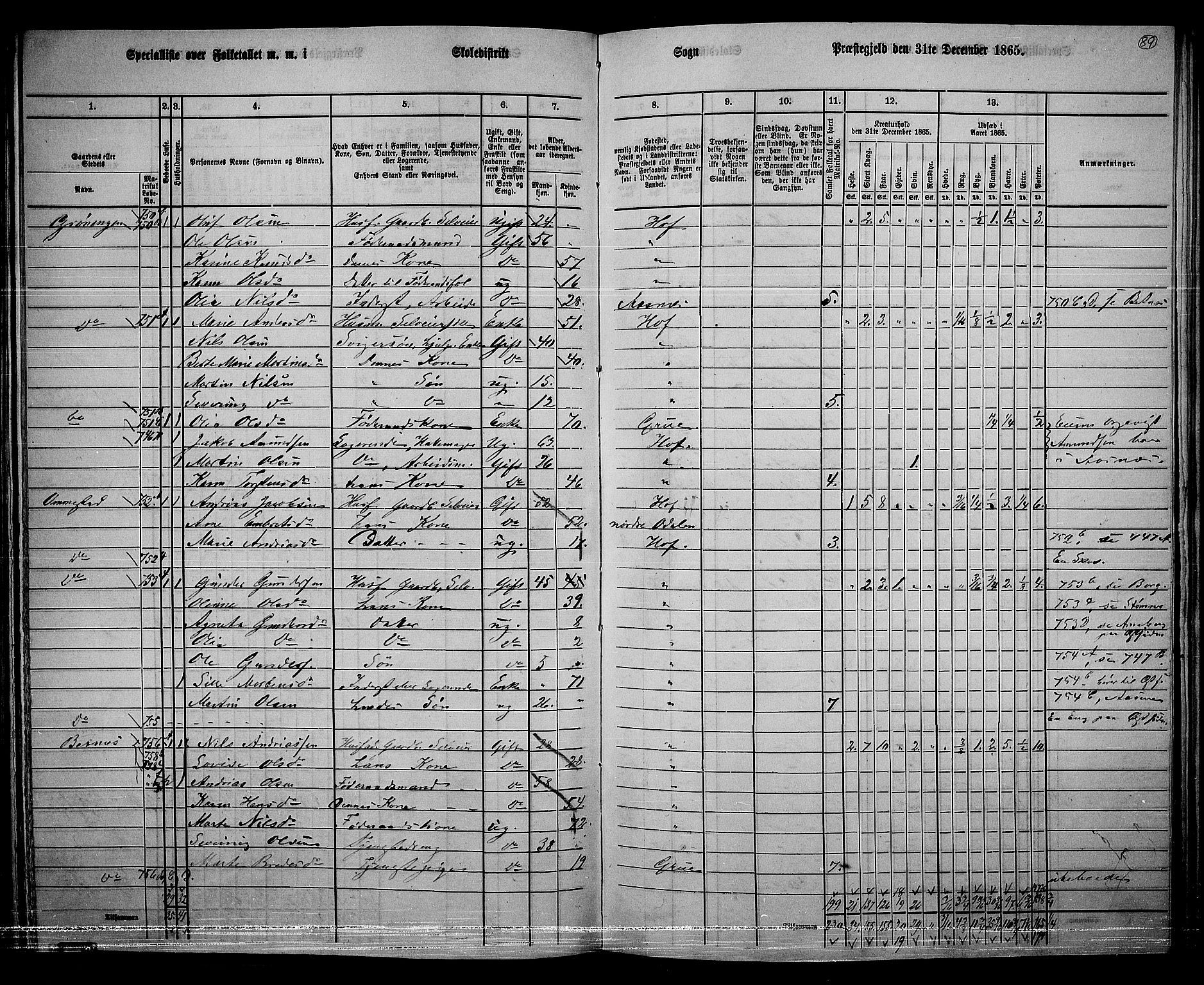 RA, 1865 census for Hof, 1865, p. 85