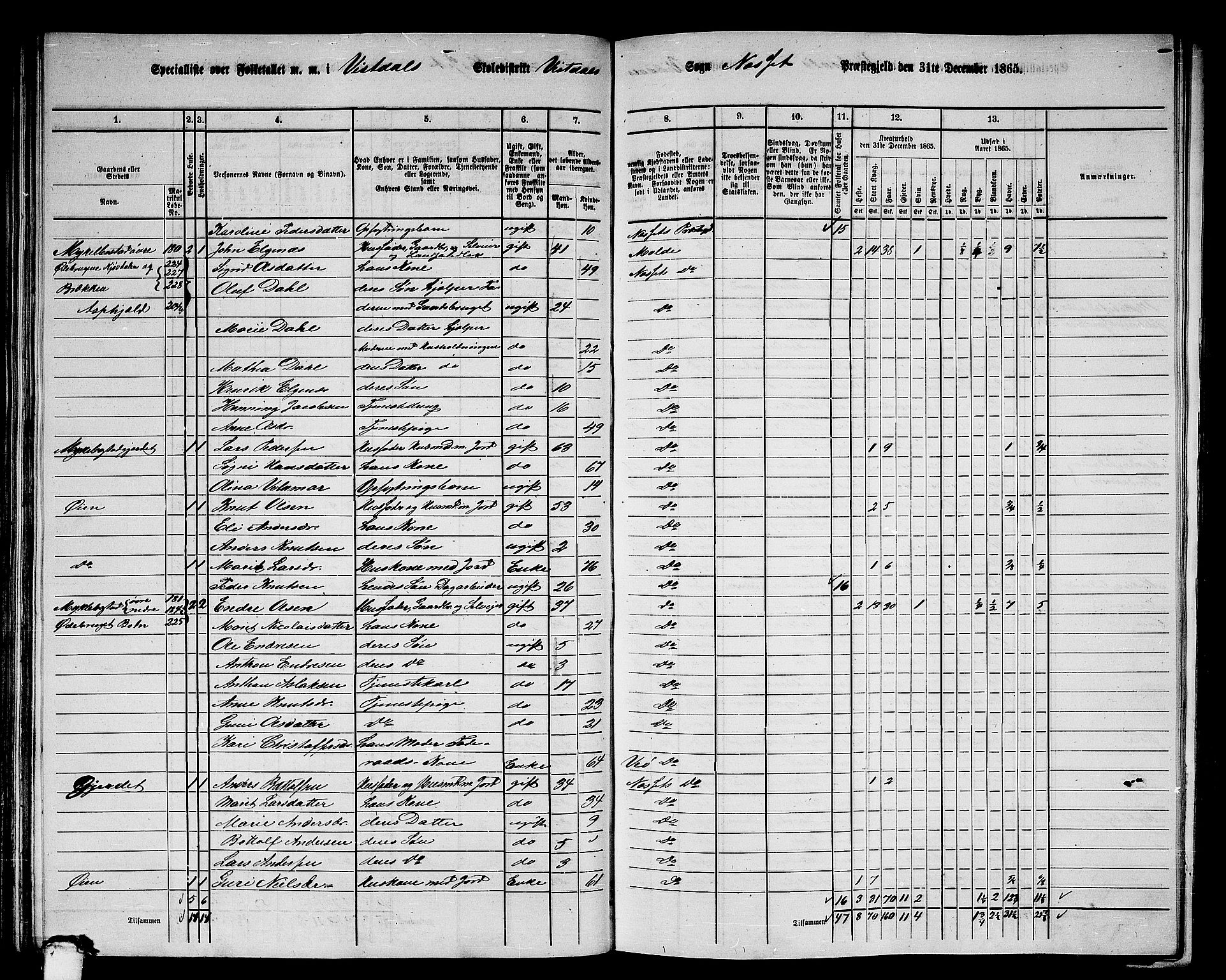 RA, 1865 census for Nesset, 1865, p. 123