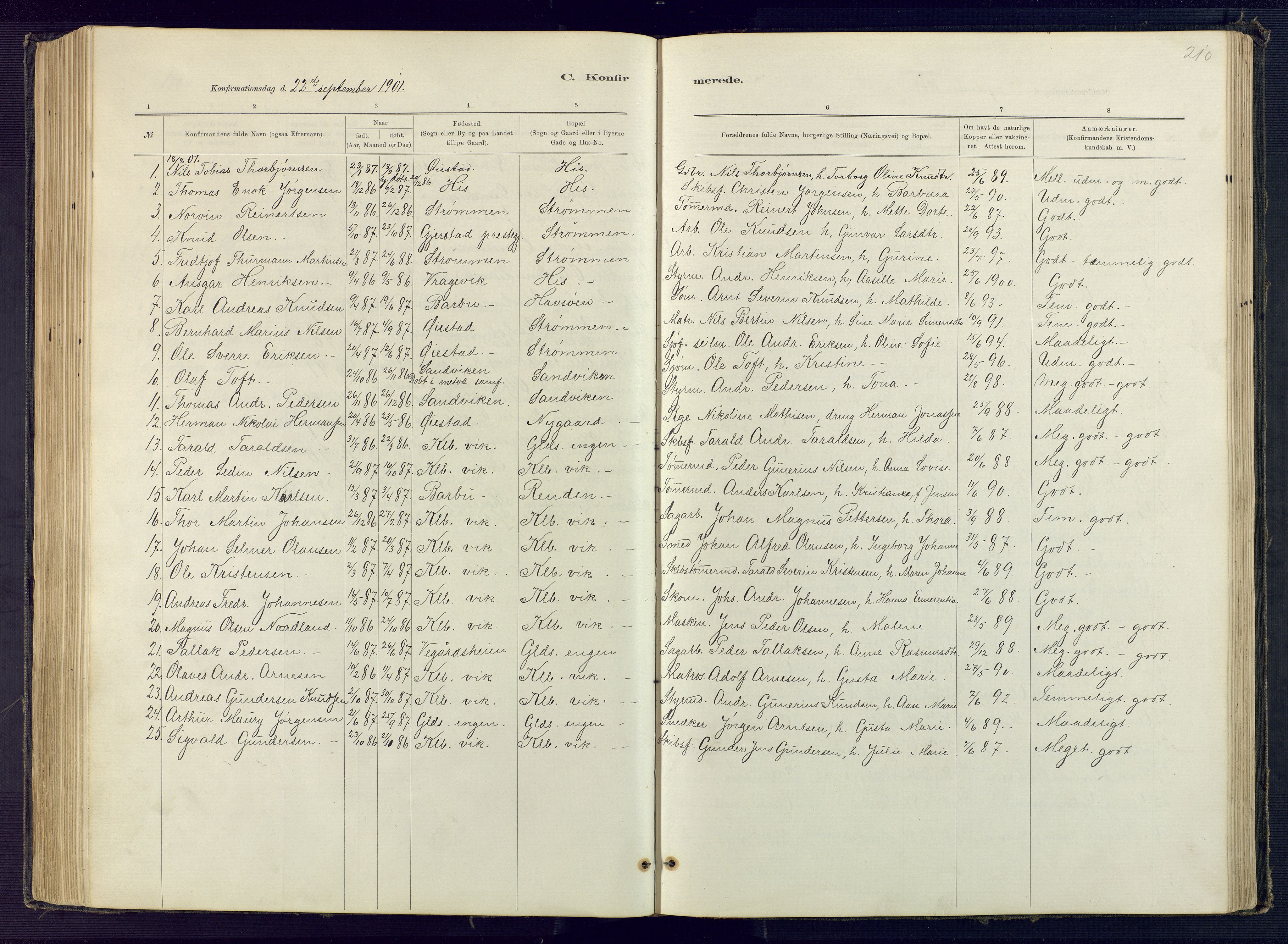 Hisøy sokneprestkontor, SAK/1111-0020/F/Fb/L0003: Parish register (copy) no. B 3, 1885-1905, p. 210