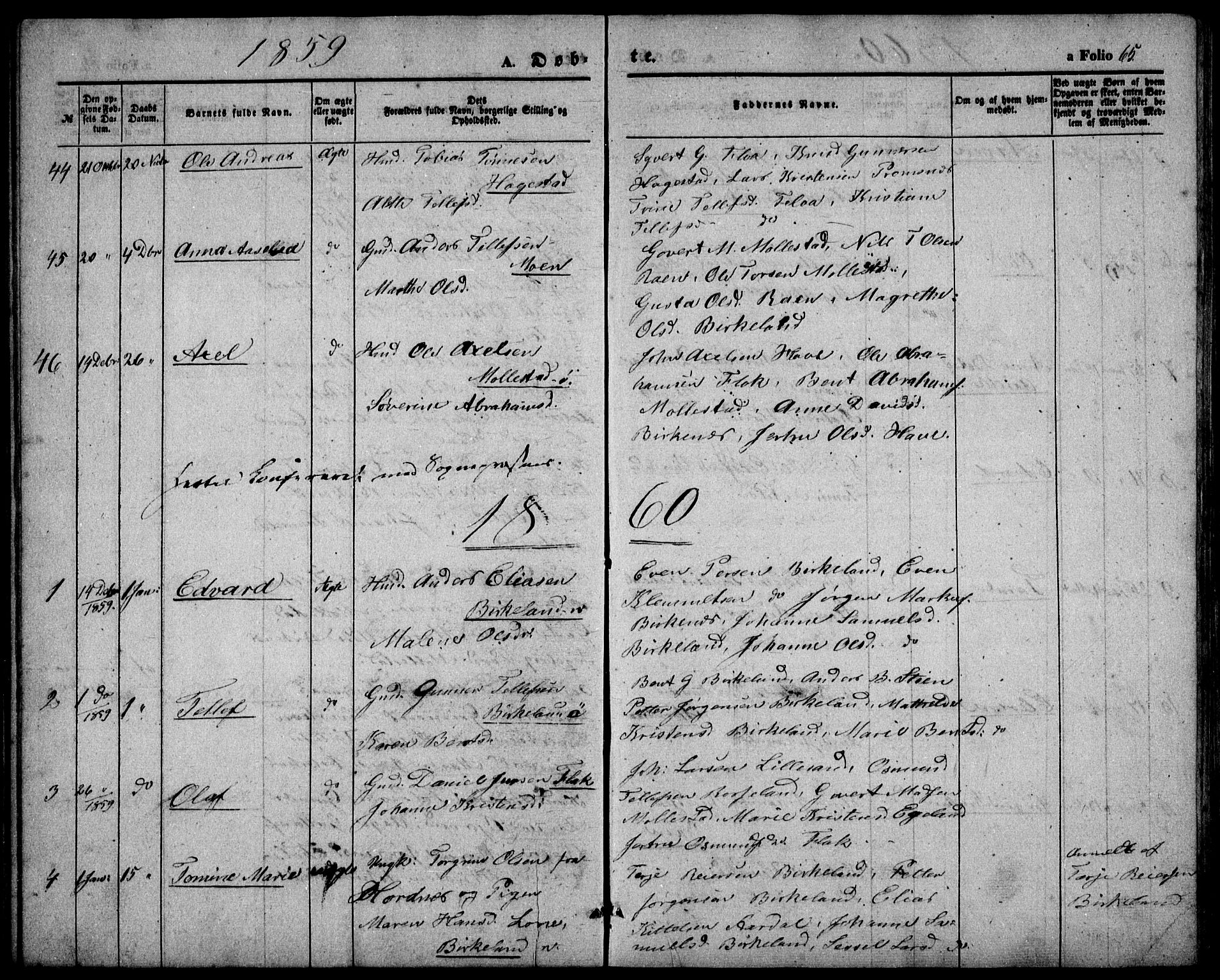 Birkenes sokneprestkontor, AV/SAK-1111-0004/F/Fb/L0002: Parish register (copy) no. B 2, 1849-1876, p. 65
