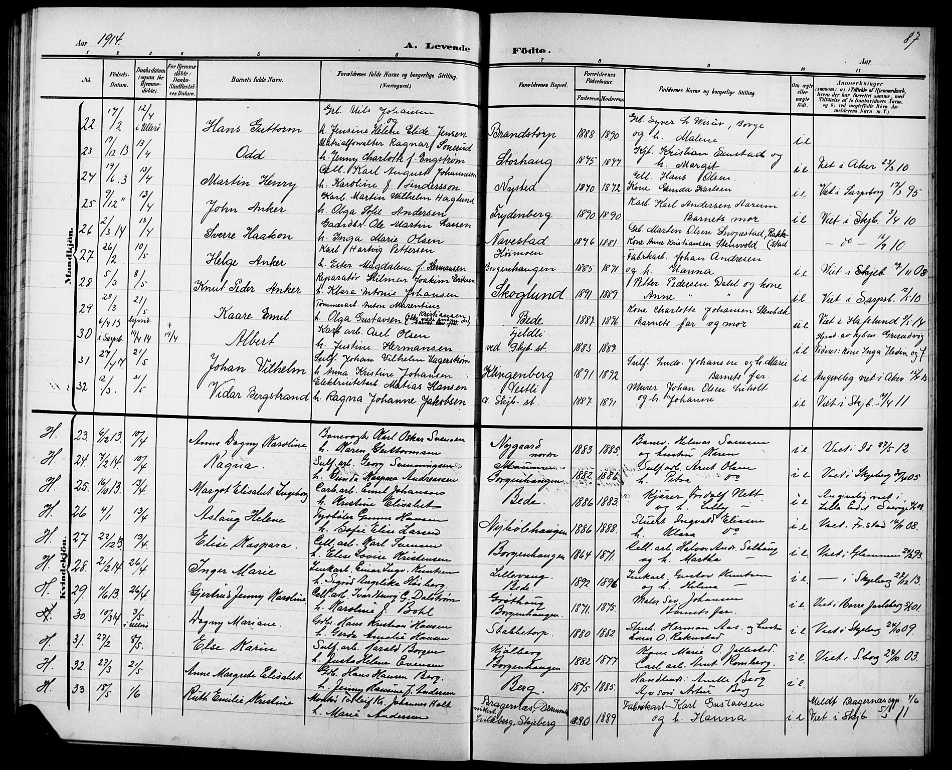 Skjeberg prestekontor Kirkebøker, AV/SAO-A-10923/G/Ga/L0002: Parish register (copy) no. I 2, 1901-1924, p. 87
