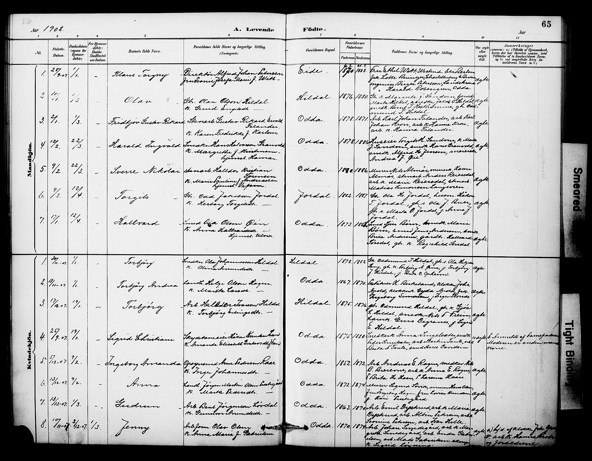 Odda Sokneprestembete, SAB/A-77201/H/Hab: Parish register (copy) no. A 7, 1887-1912, p. 65