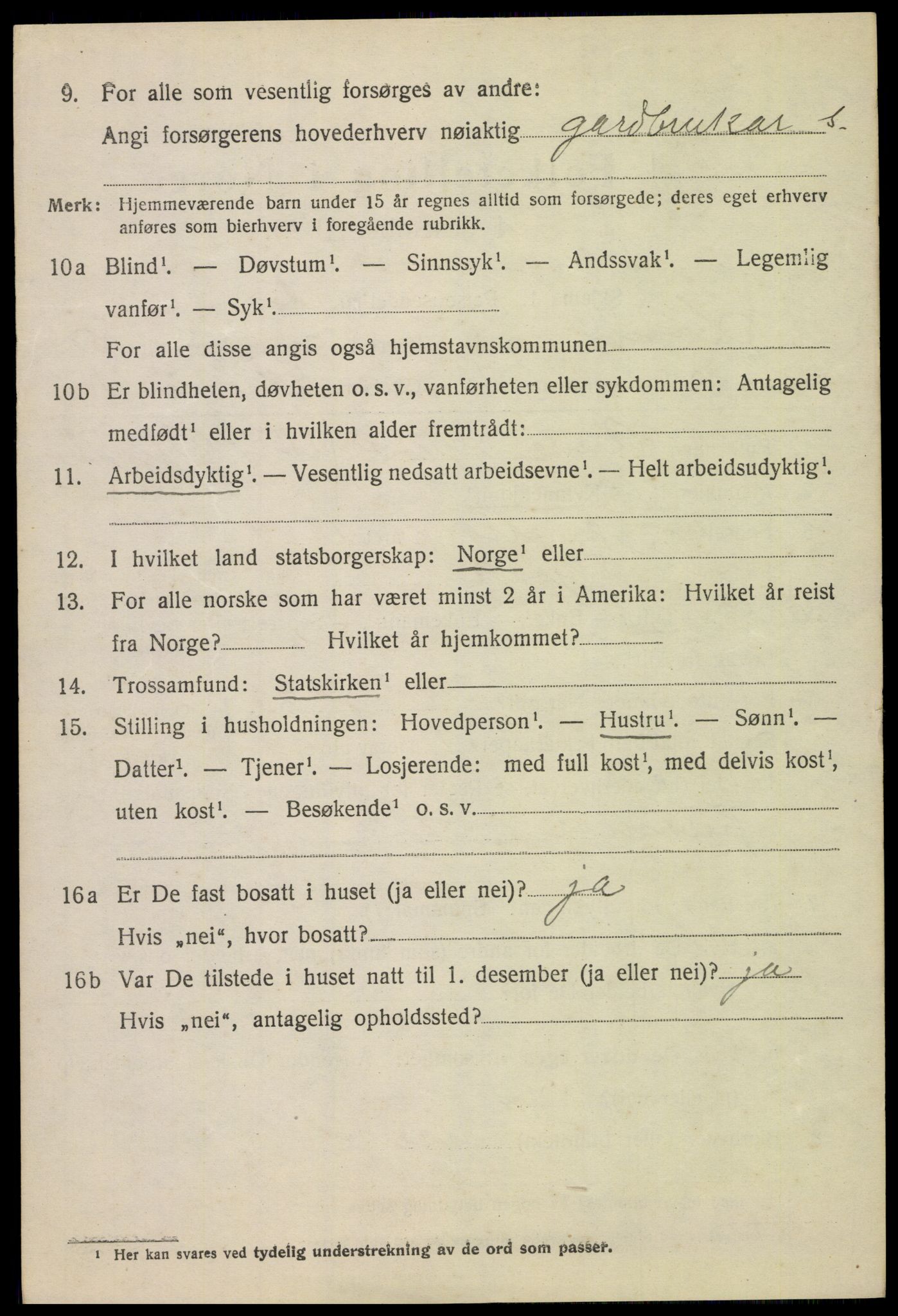 SAH, 1920 census for Lom, 1920, p. 3151