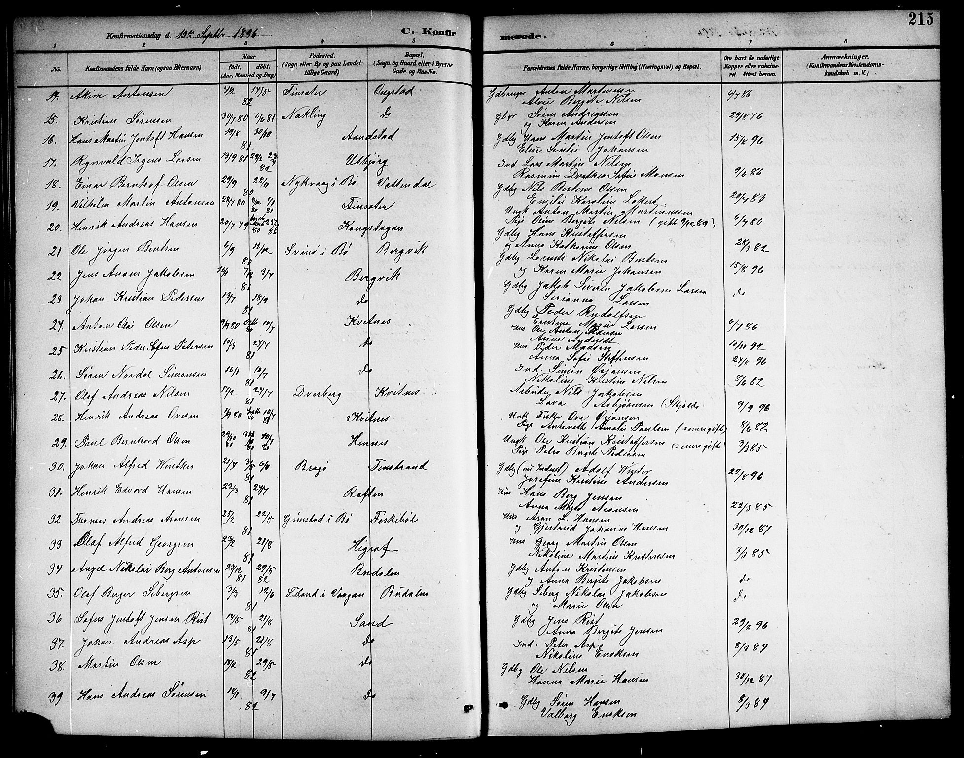 Ministerialprotokoller, klokkerbøker og fødselsregistre - Nordland, SAT/A-1459/888/L1268: Parish register (copy) no. 888C06, 1891-1908, p. 215