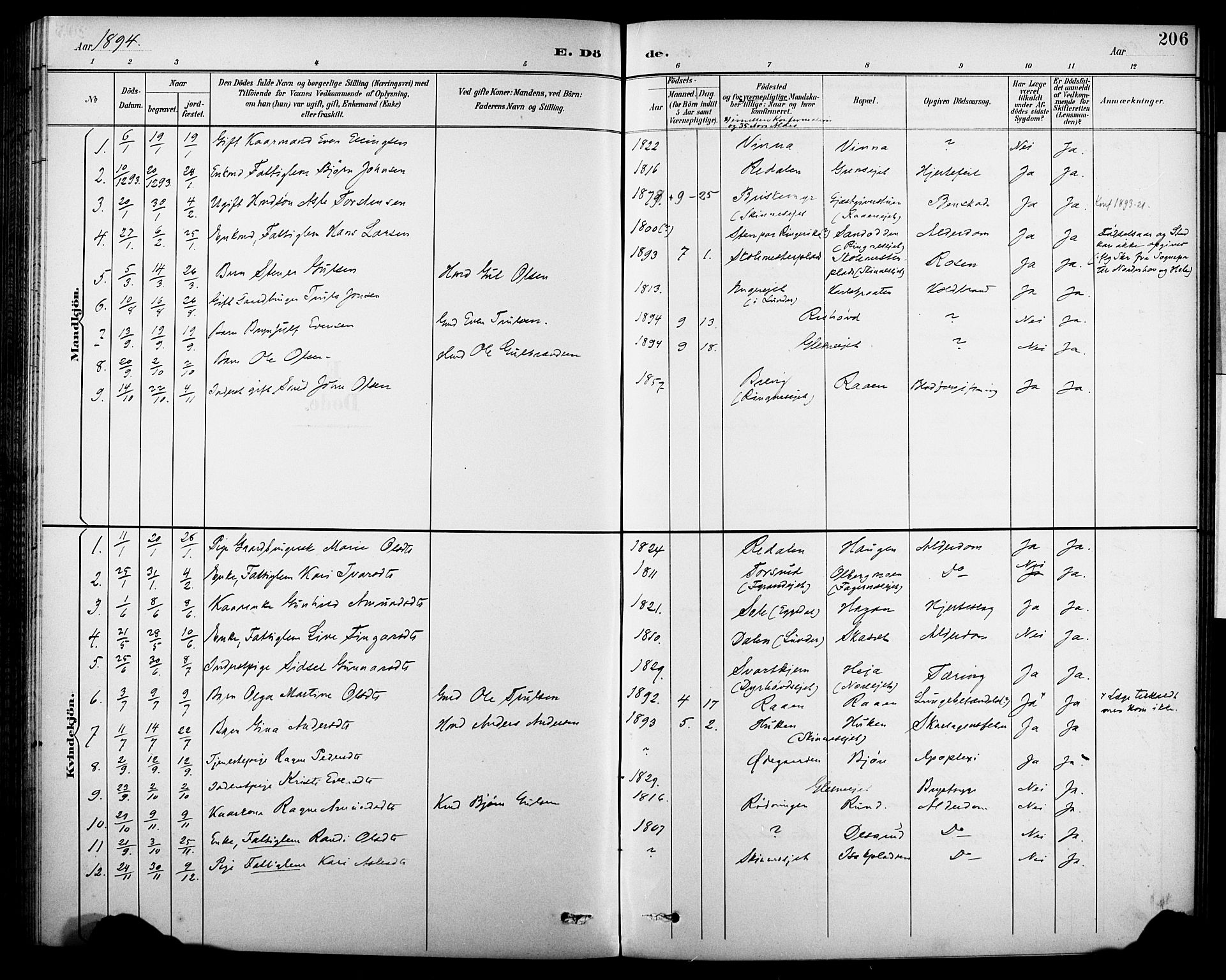 Krødsherad kirkebøker, SAKO/A-19/G/Ga/L0002: Parish register (copy) no. 2, 1894-1918, p. 206