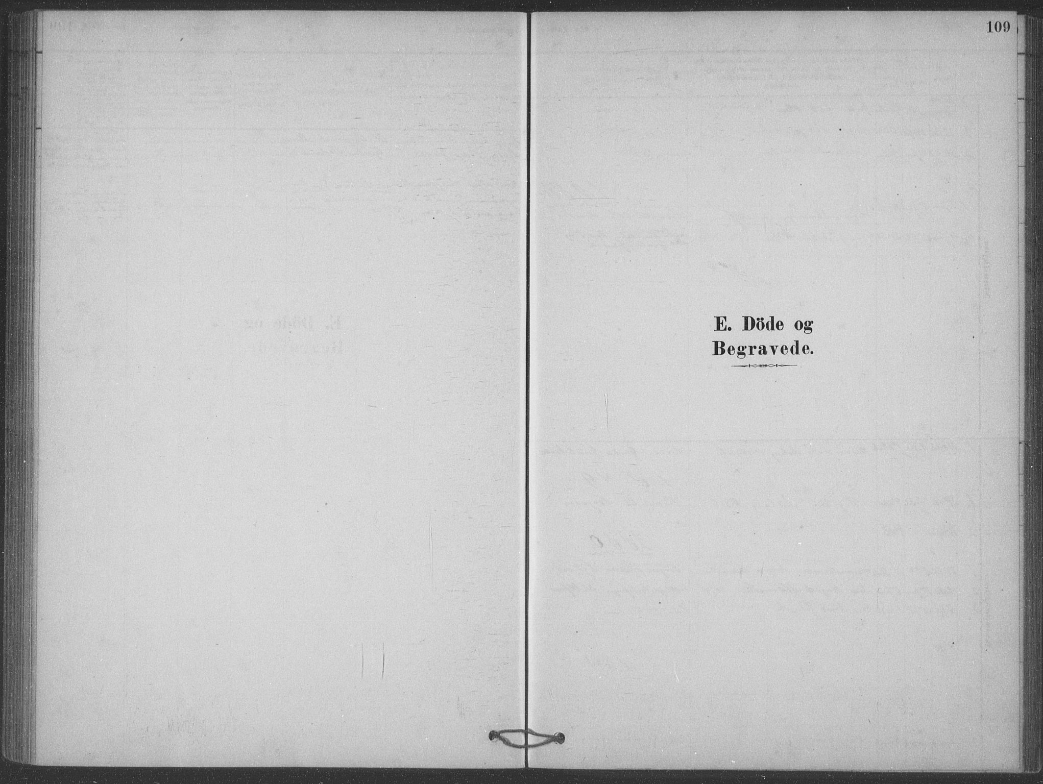 Heddal kirkebøker, SAKO/A-268/F/Fb/L0002: Parish register (official) no. II 2, 1878-1913, p. 109