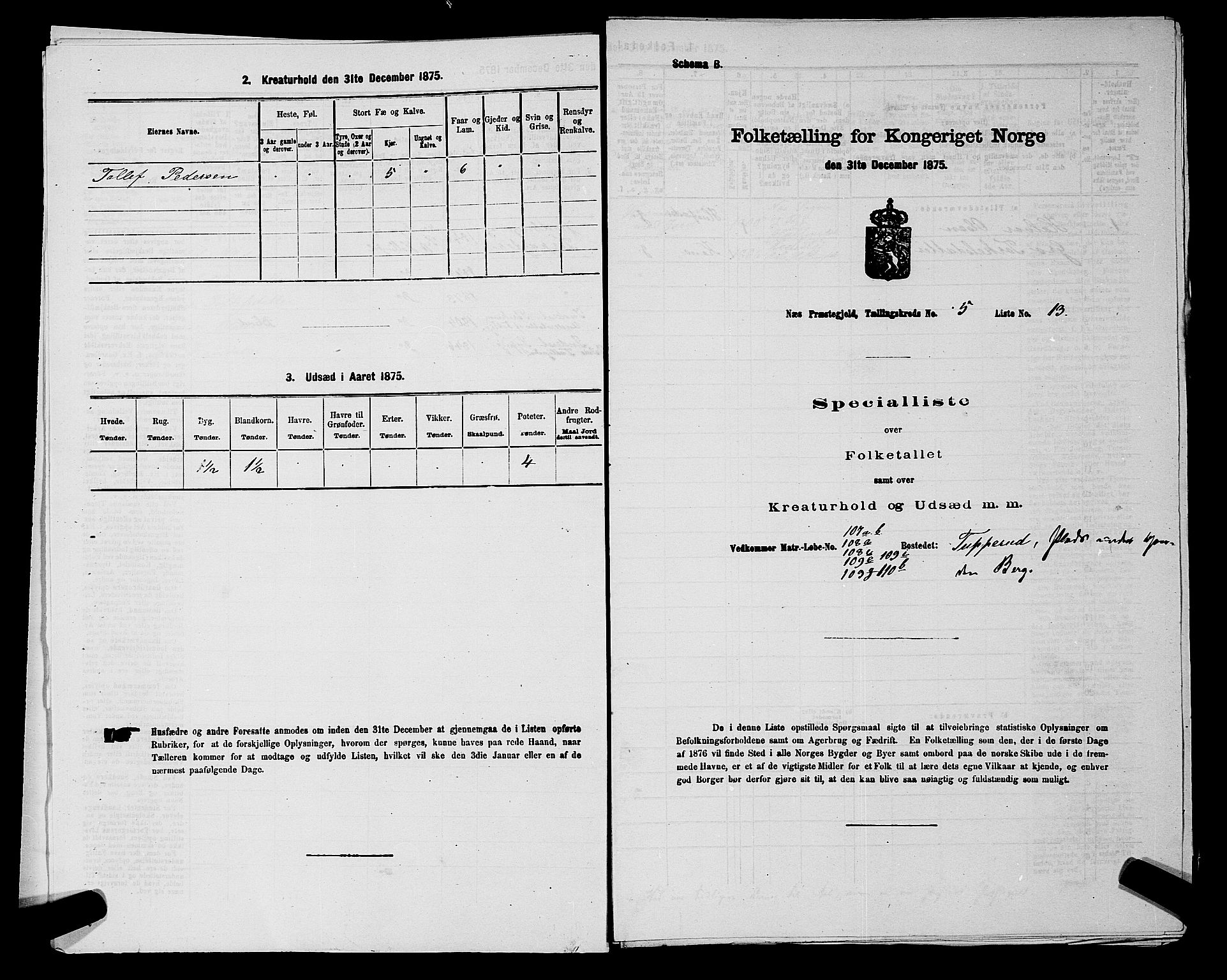 SAKO, 1875 census for 0616P Nes, 1875, p. 860