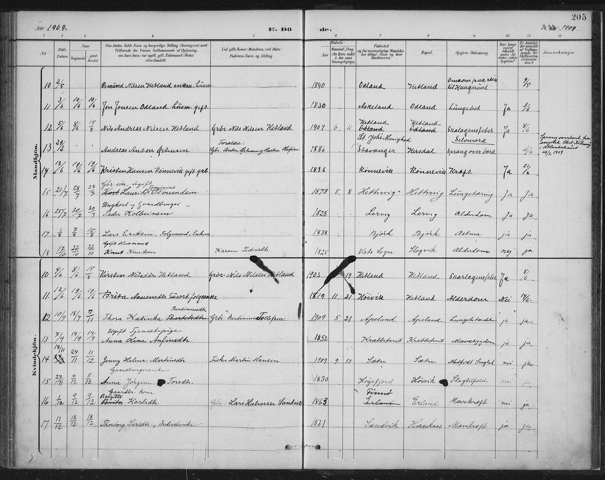 Tysvær sokneprestkontor, SAST/A -101864/H/Ha/Haa/L0008: Parish register (official) no. A 8, 1897-1918, p. 205