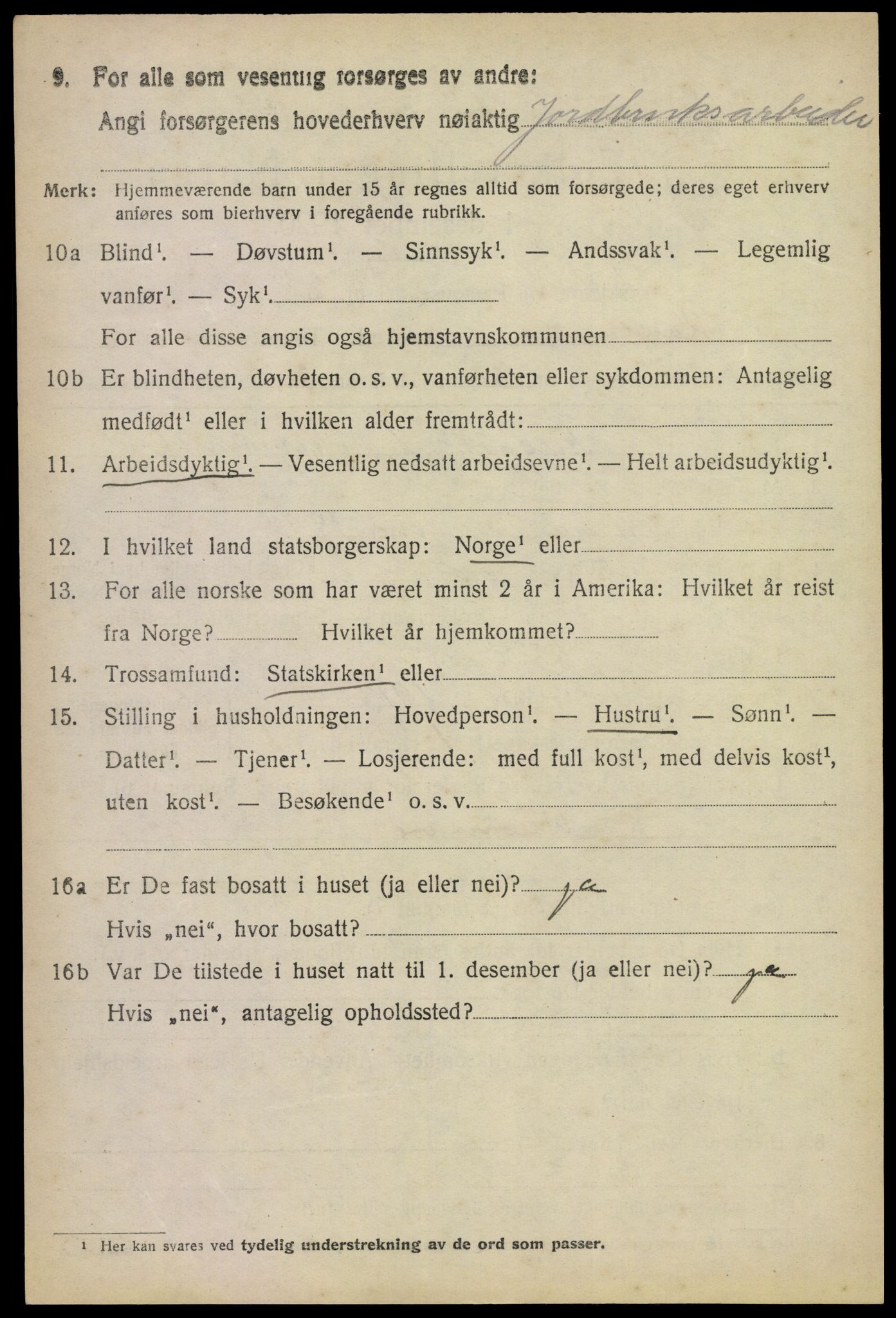 SAKO, 1920 census for Rauland, 1920, p. 801