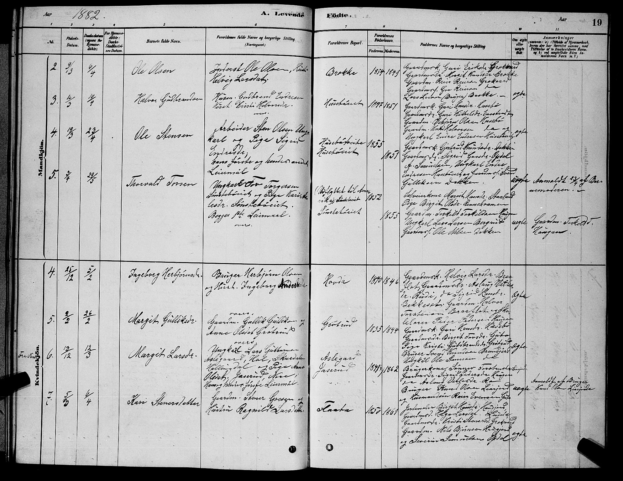 Nore kirkebøker, SAKO/A-238/G/Gb/L0002: Parish register (copy) no. II 2, 1878-1894, p. 19