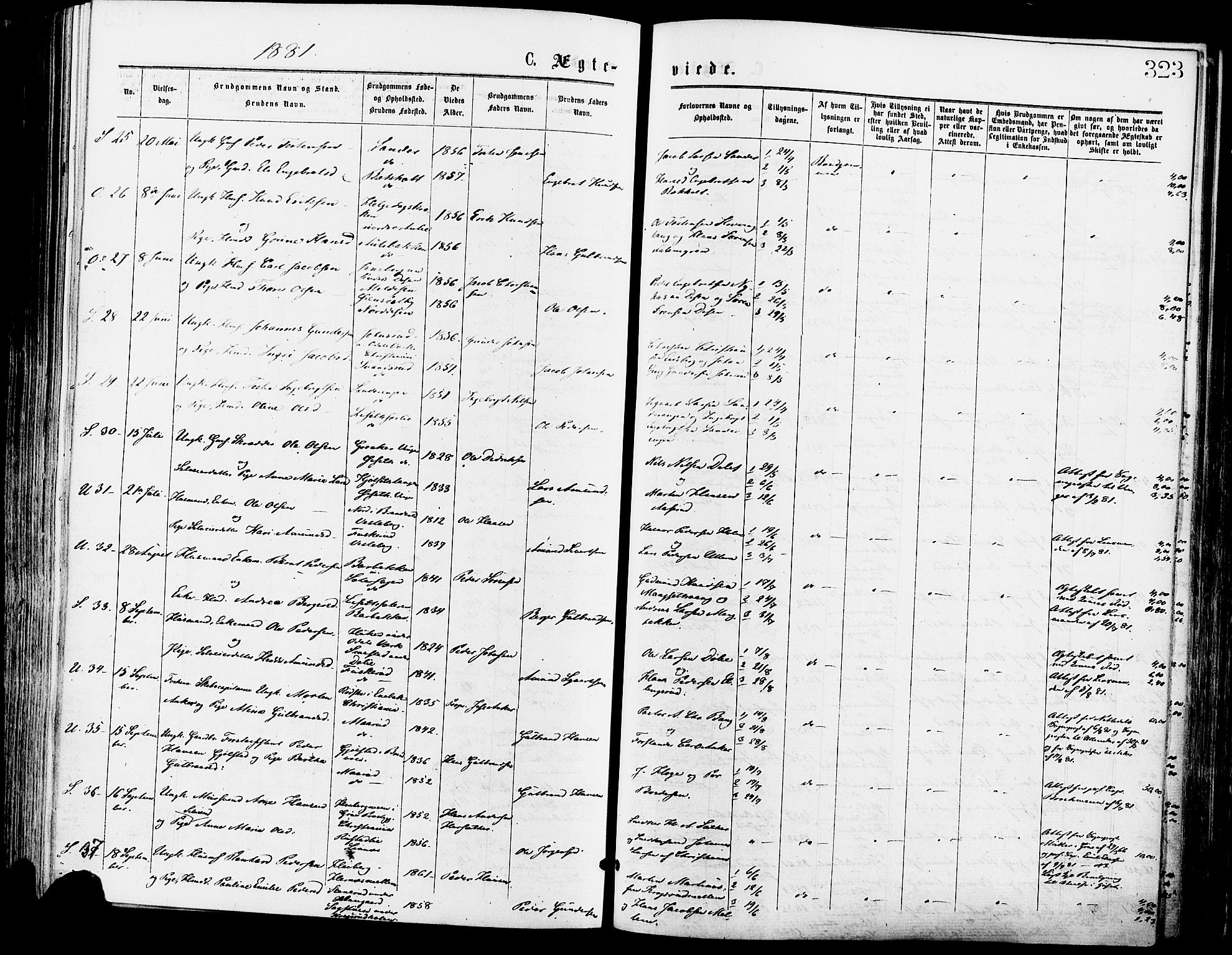 Sør-Odal prestekontor, SAH/PREST-030/H/Ha/Haa/L0005: Parish register (official) no. 5, 1876-1885, p. 323