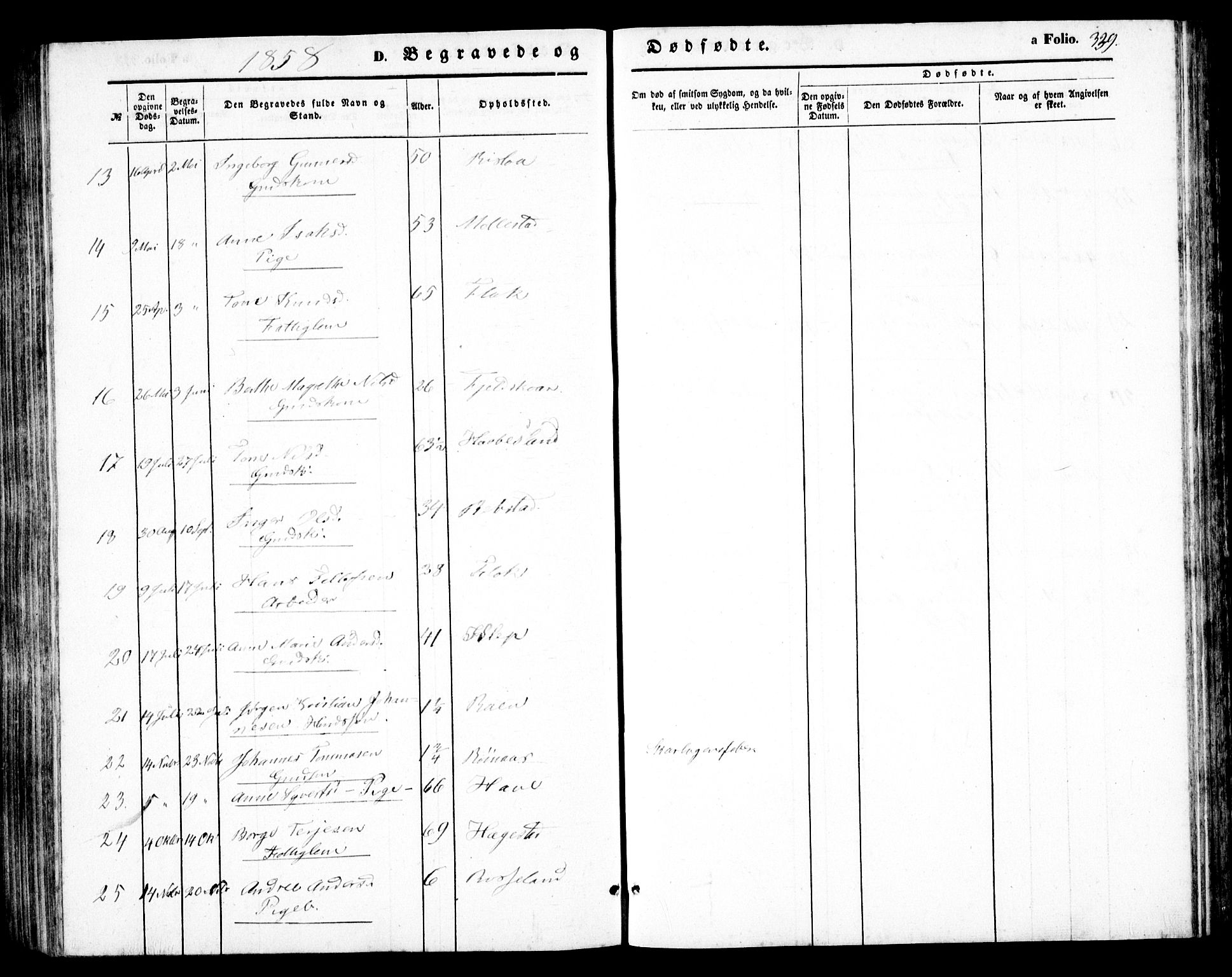 Birkenes sokneprestkontor, AV/SAK-1111-0004/F/Fb/L0002: Parish register (copy) no. B 2, 1849-1876, p. 339