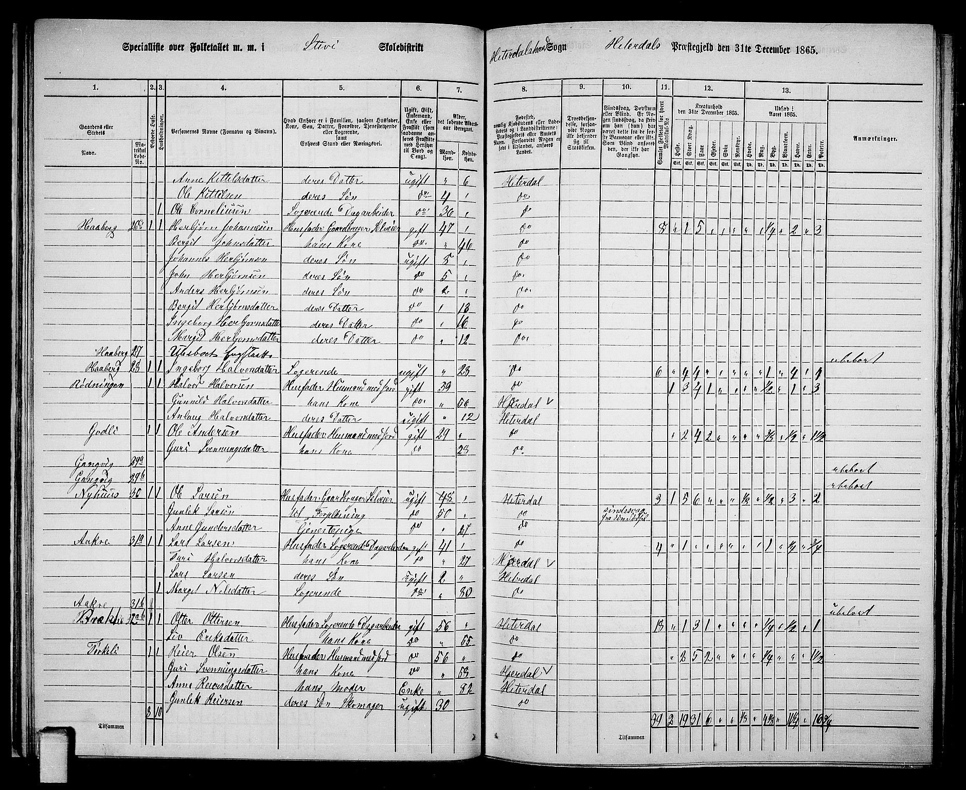 RA, 1865 census for Heddal, 1865, p. 33