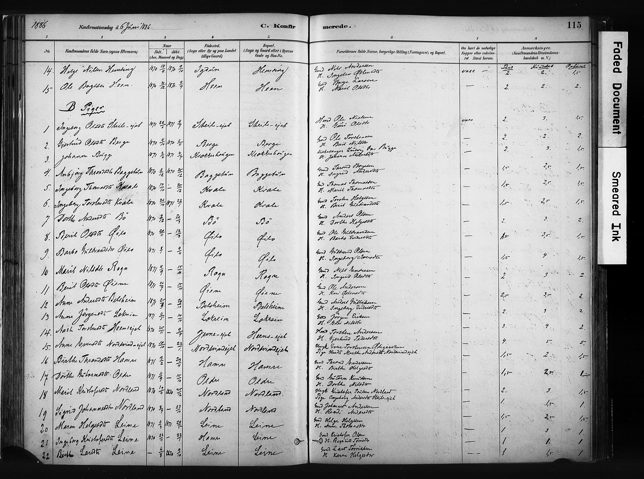 Vang prestekontor, Valdres, AV/SAH-PREST-140/H/Ha/L0008: Parish register (official) no. 8, 1882-1910, p. 115