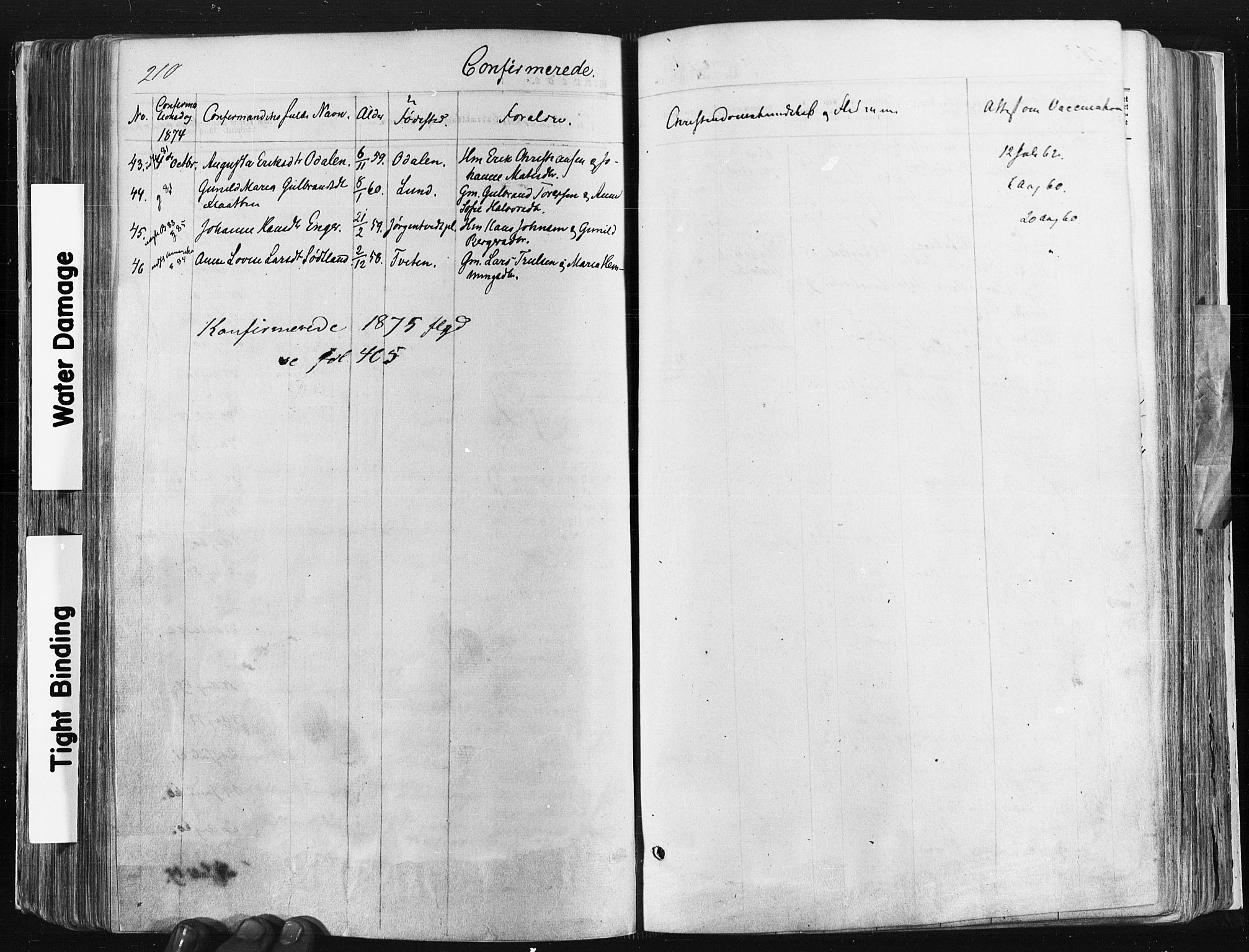 Trøgstad prestekontor Kirkebøker, SAO/A-10925/F/Fa/L0009: Parish register (official) no. I 9, 1865-1877, p. 210
