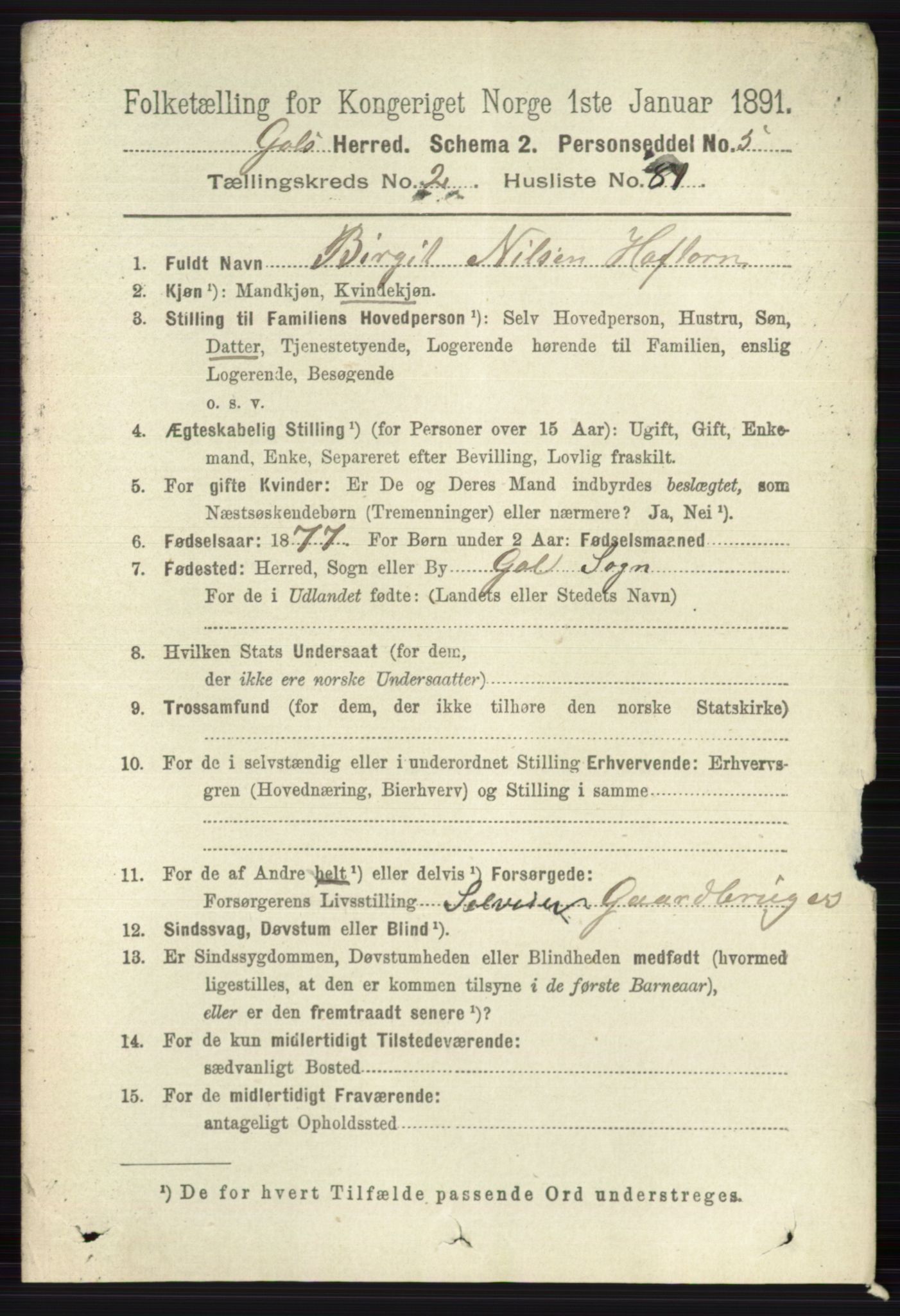 RA, 1891 census for 0617 Gol og Hemsedal, 1891, p. 1187